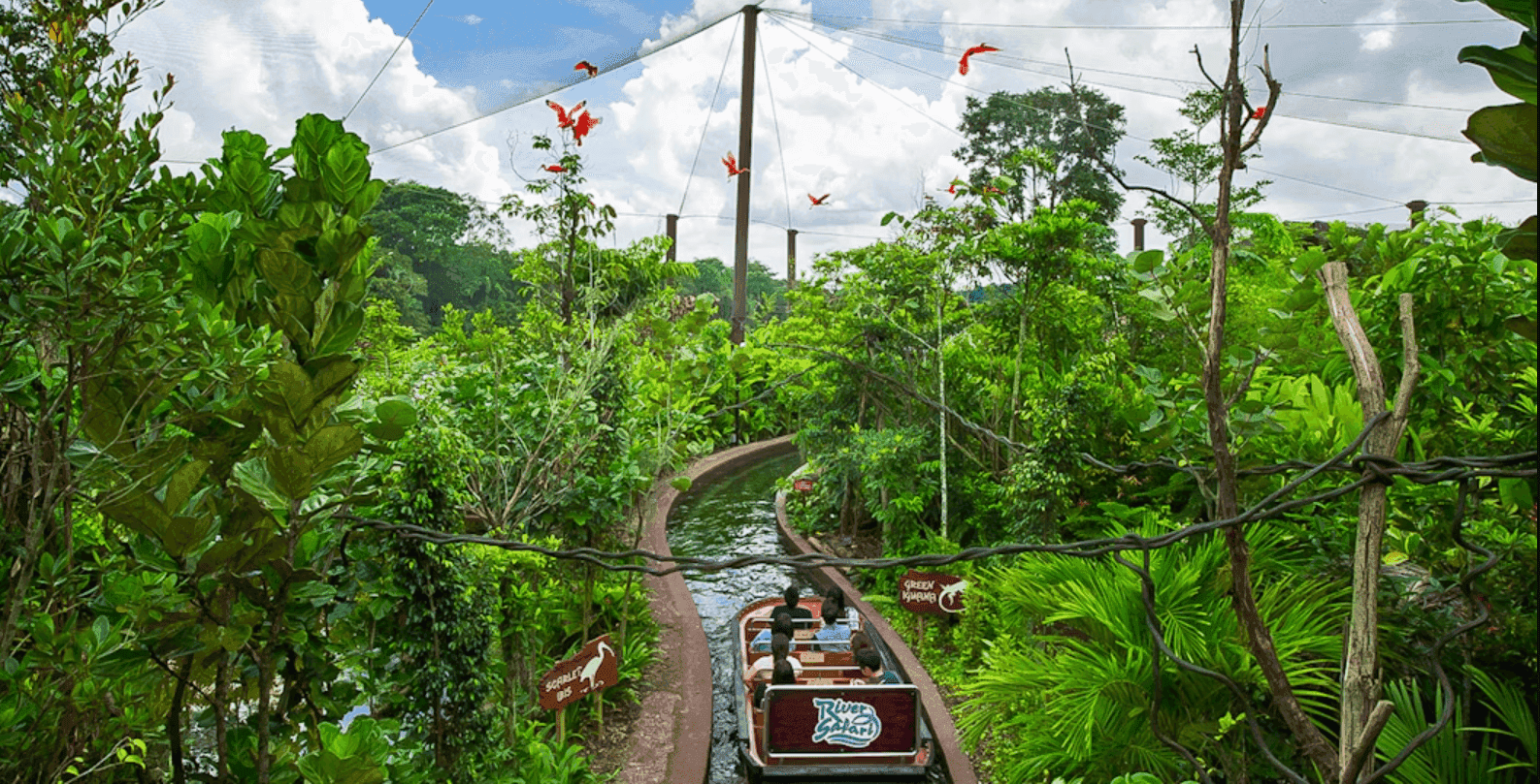 fvgzx61zpno4ko273qun75ir