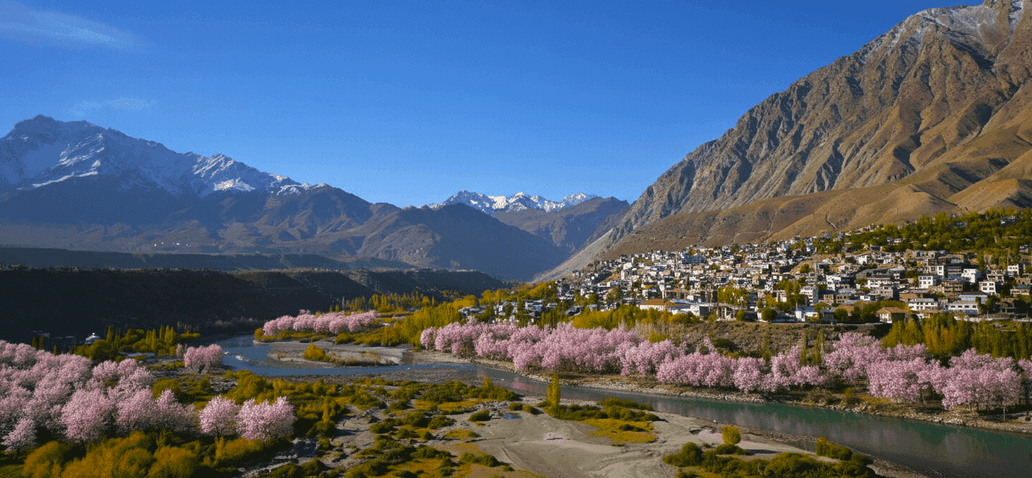 zkkdyf596ghcyglym1ev8b2m