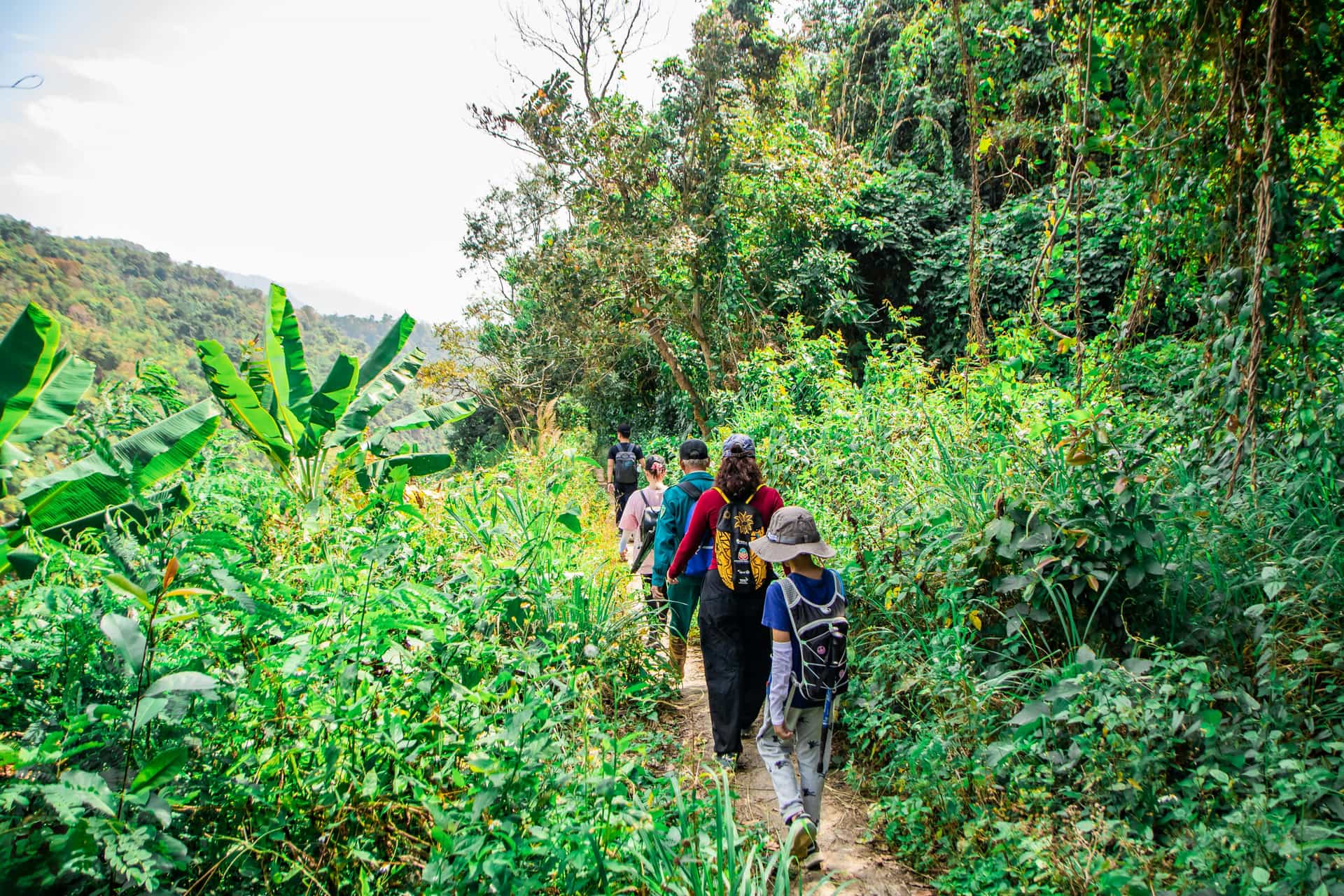 o0ly4gefjvgebpvnoxdor47f