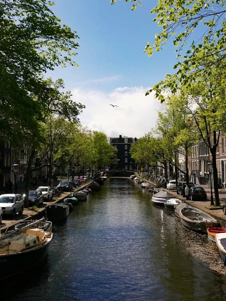 zf9togwkdynseq9q1gp4fwvw