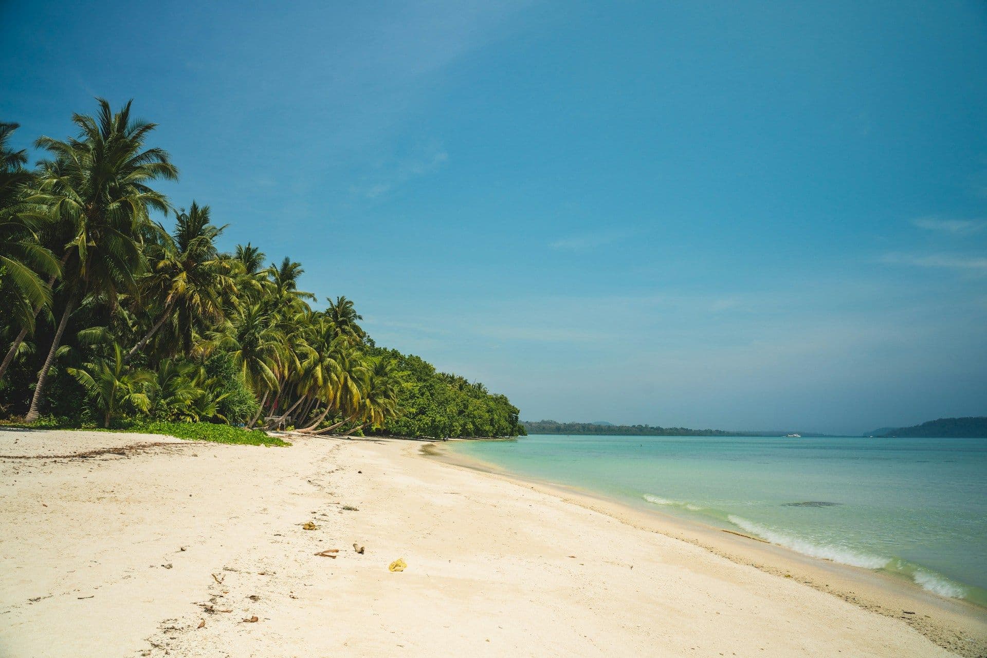 Best Beaches in Andaman
