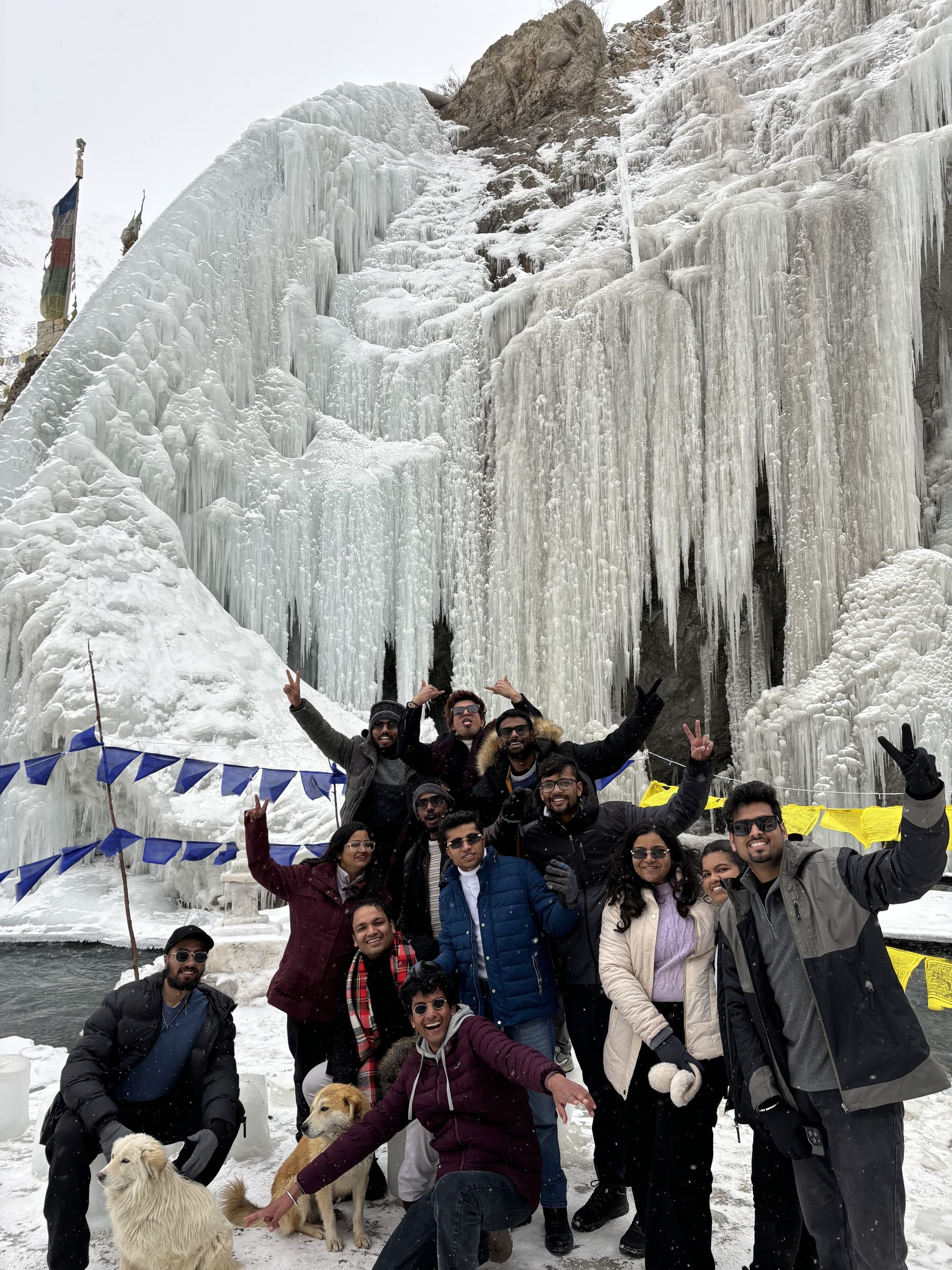 wohl7wymt9dt9qocikcg3cvm