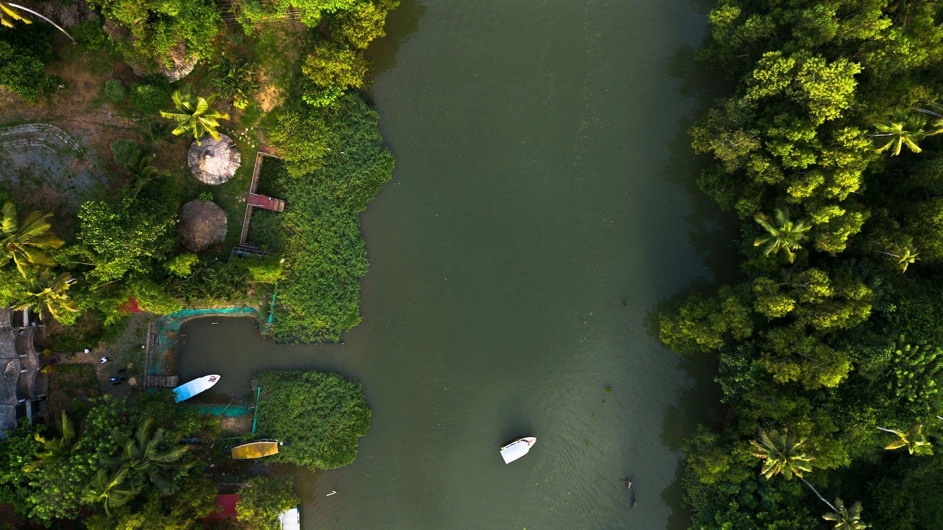 Kerala Backwaters Guide: Best Places to Visit & Experiences