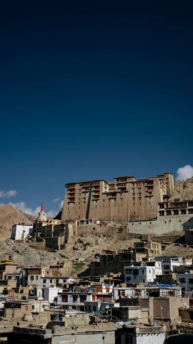 Leh Palace