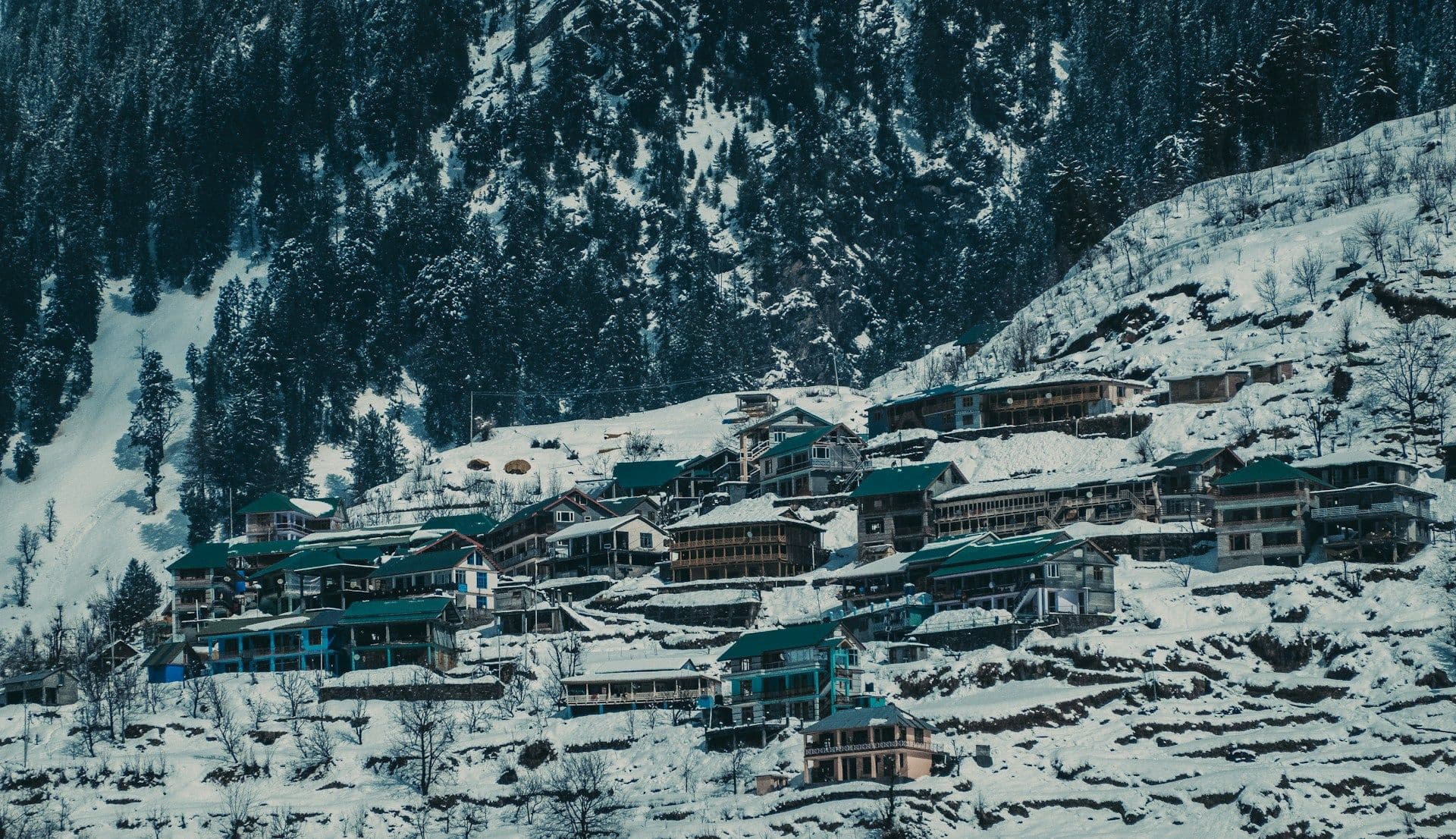 Manali Trip Cost: How Much Does a Manali Trip Really Cost?
