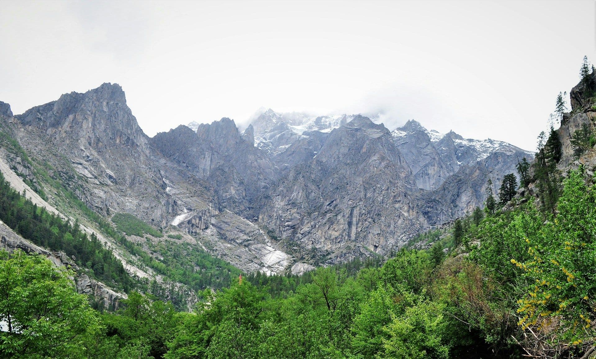 Rakchham Travel Guide: Scenic Kinnaur Stays Between Sangla & Chitkul