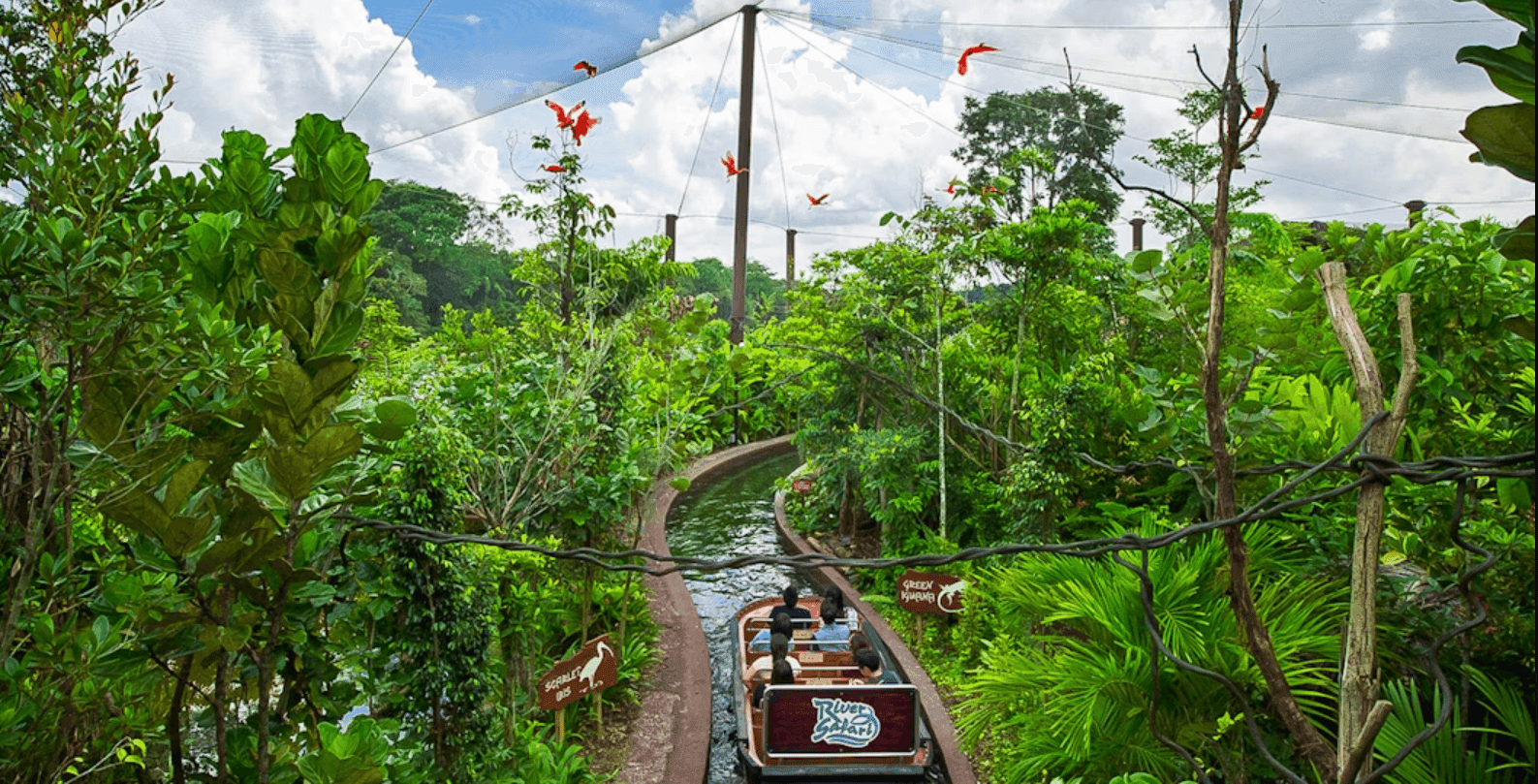 fvgzx61zpno4ko273qun75ir