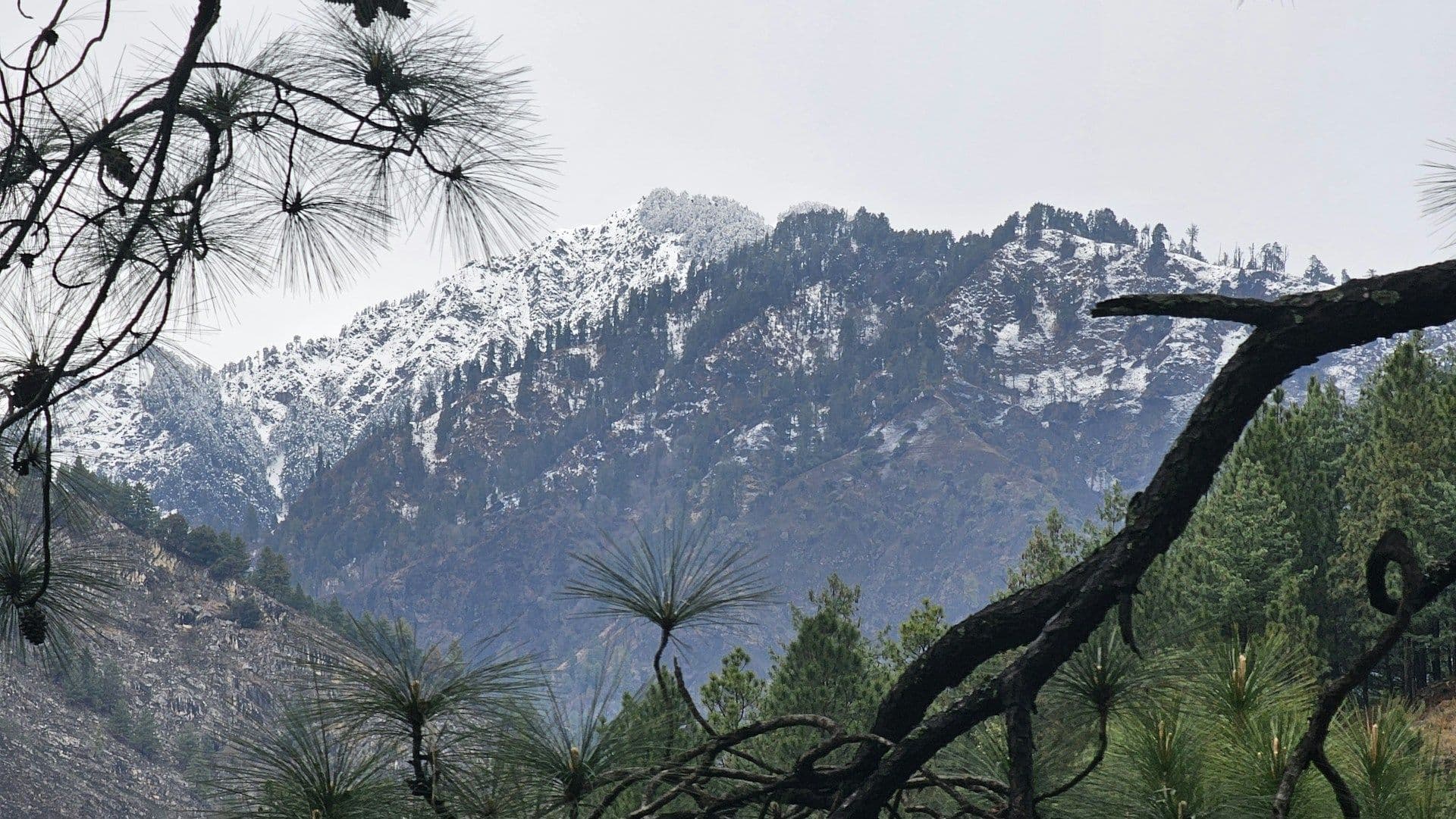 Tirthan Valley Trip Cost: Real Budget from Delhi & Chandigarh