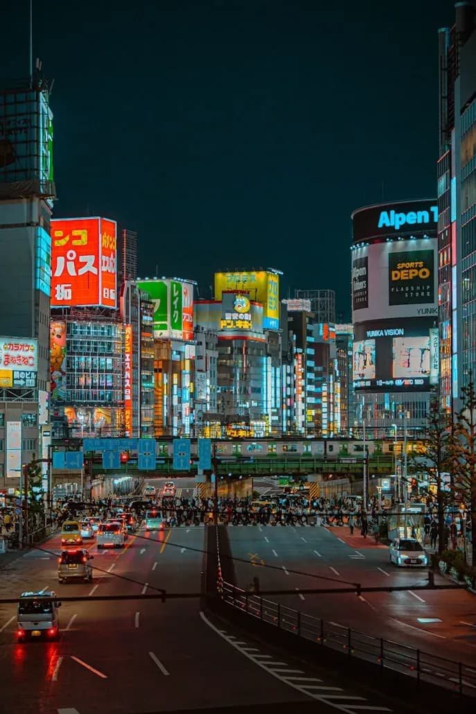 Tokyo Nightlife Crawl