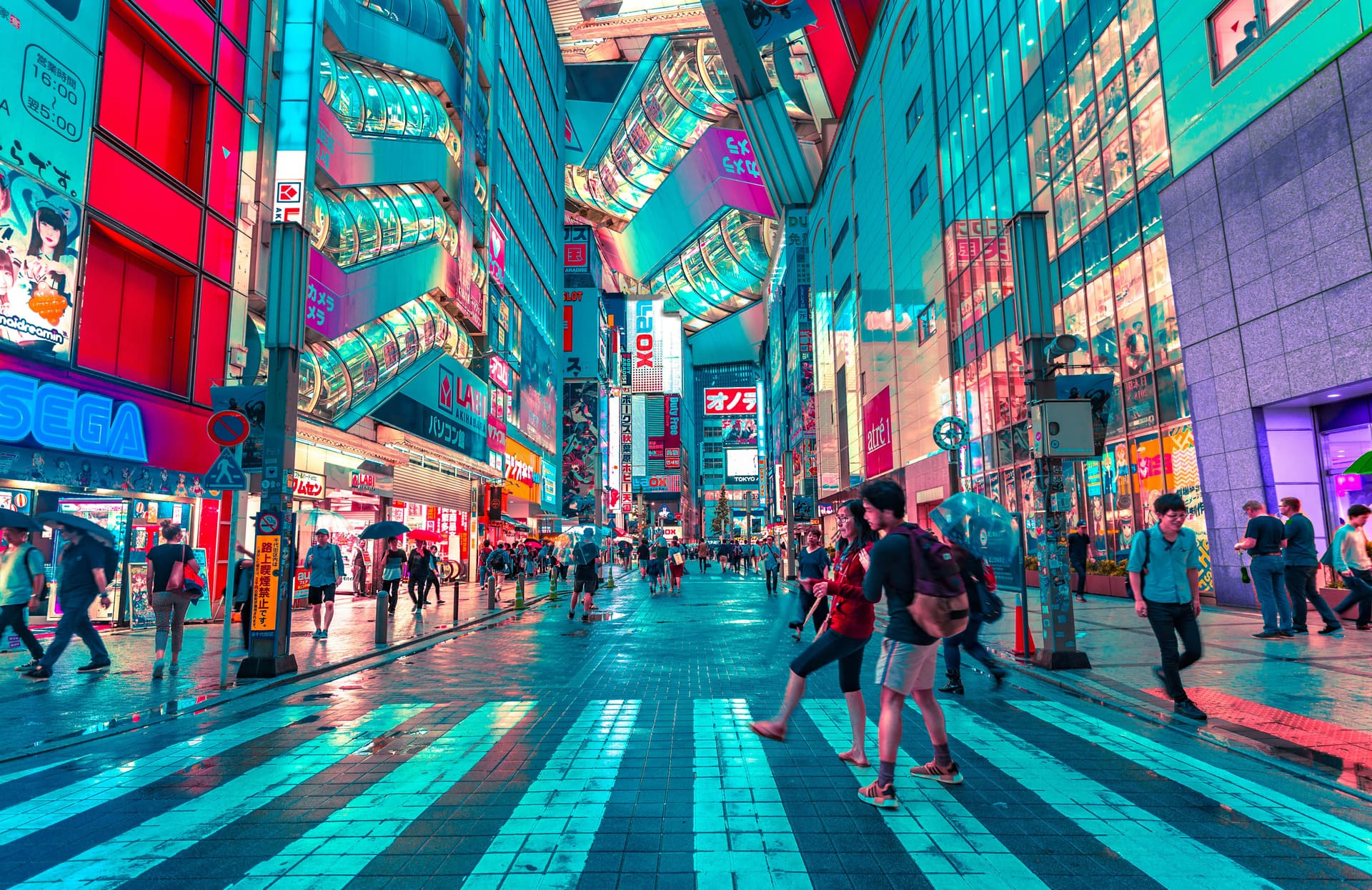 Tokyo Travel Guide: Where to Go, What to Do & How to Plan It Right