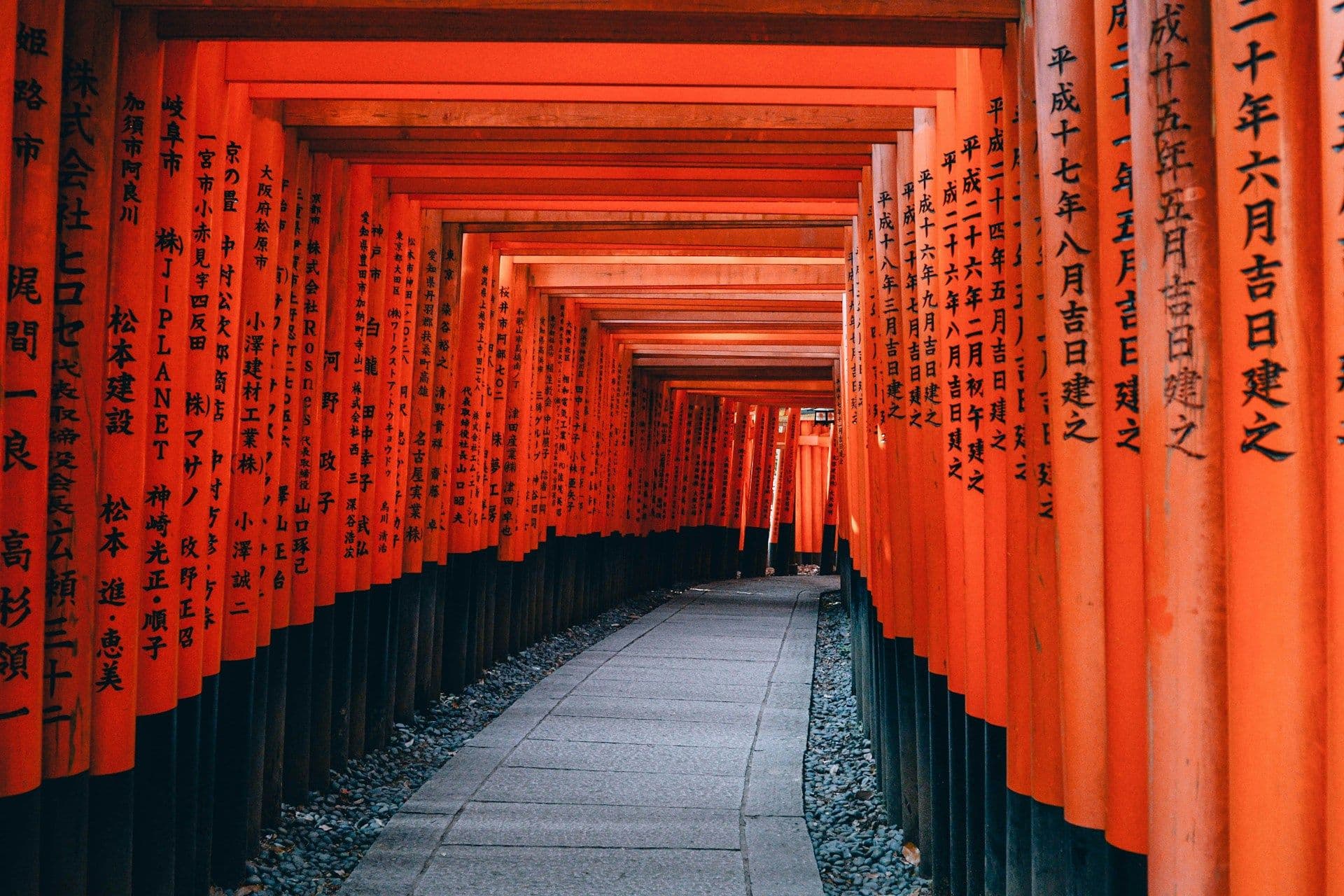 Top Things to Do in Japan: Experiences You Shouldn’t Miss (And How to Experience Them Right)