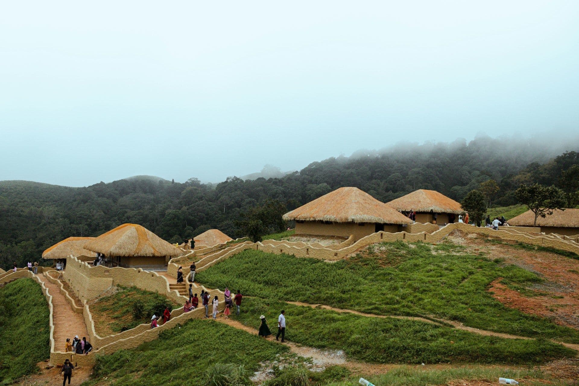 Wayanad Travel Guide: Best Places to Visit, Things to Do & Itinerary