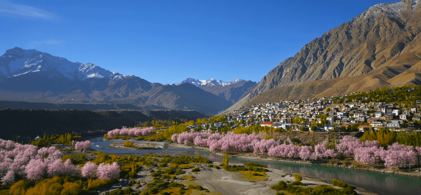 zkkdyf596ghcyglym1ev8b2m