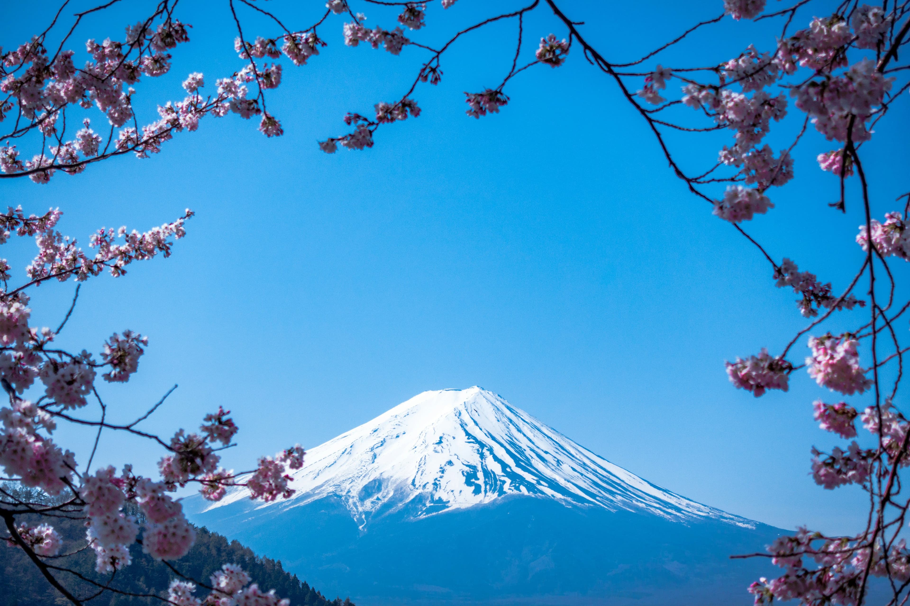 Japan Tour Packages image