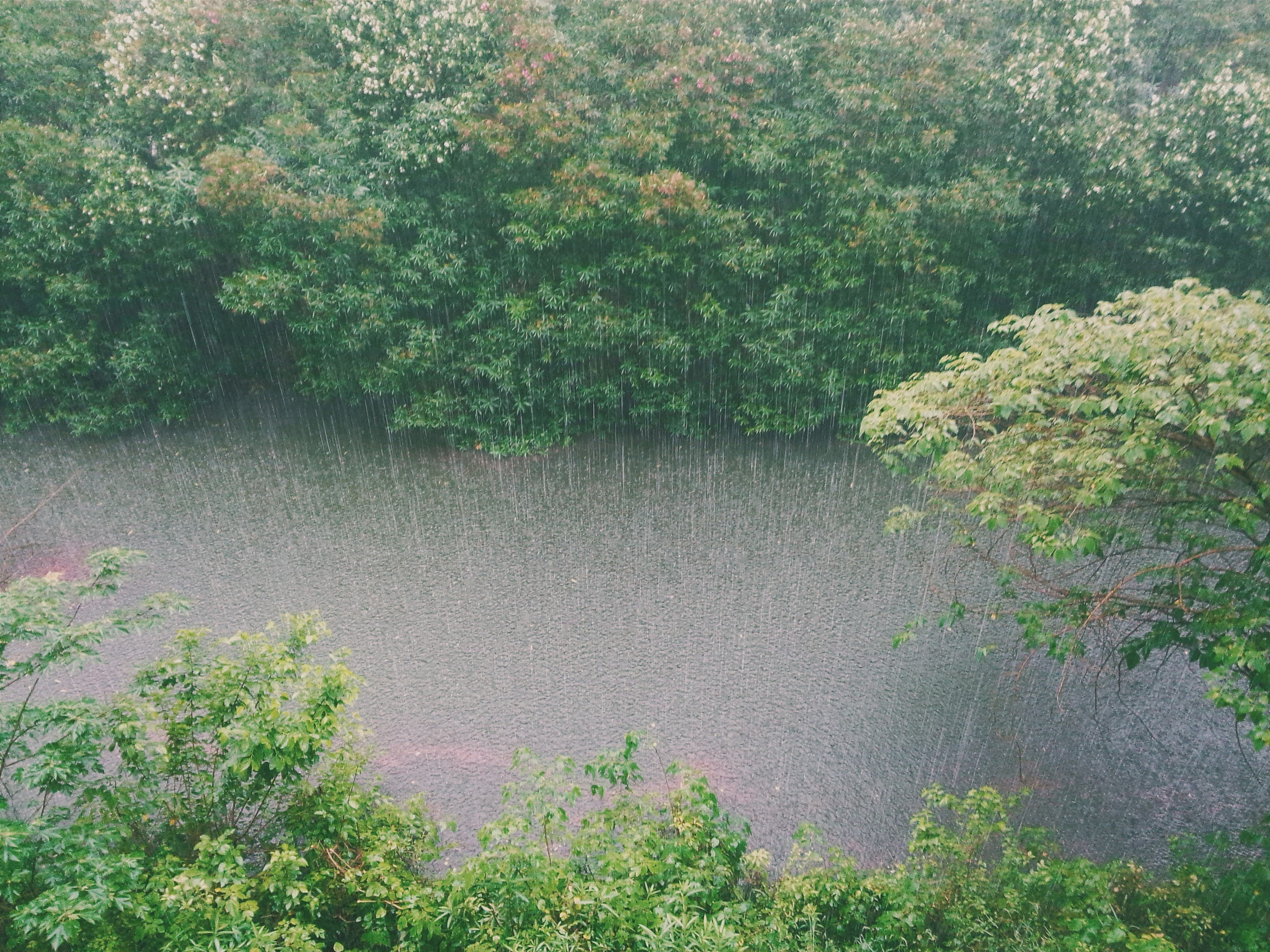 Experienced rainfall in the wettest place on Earth.