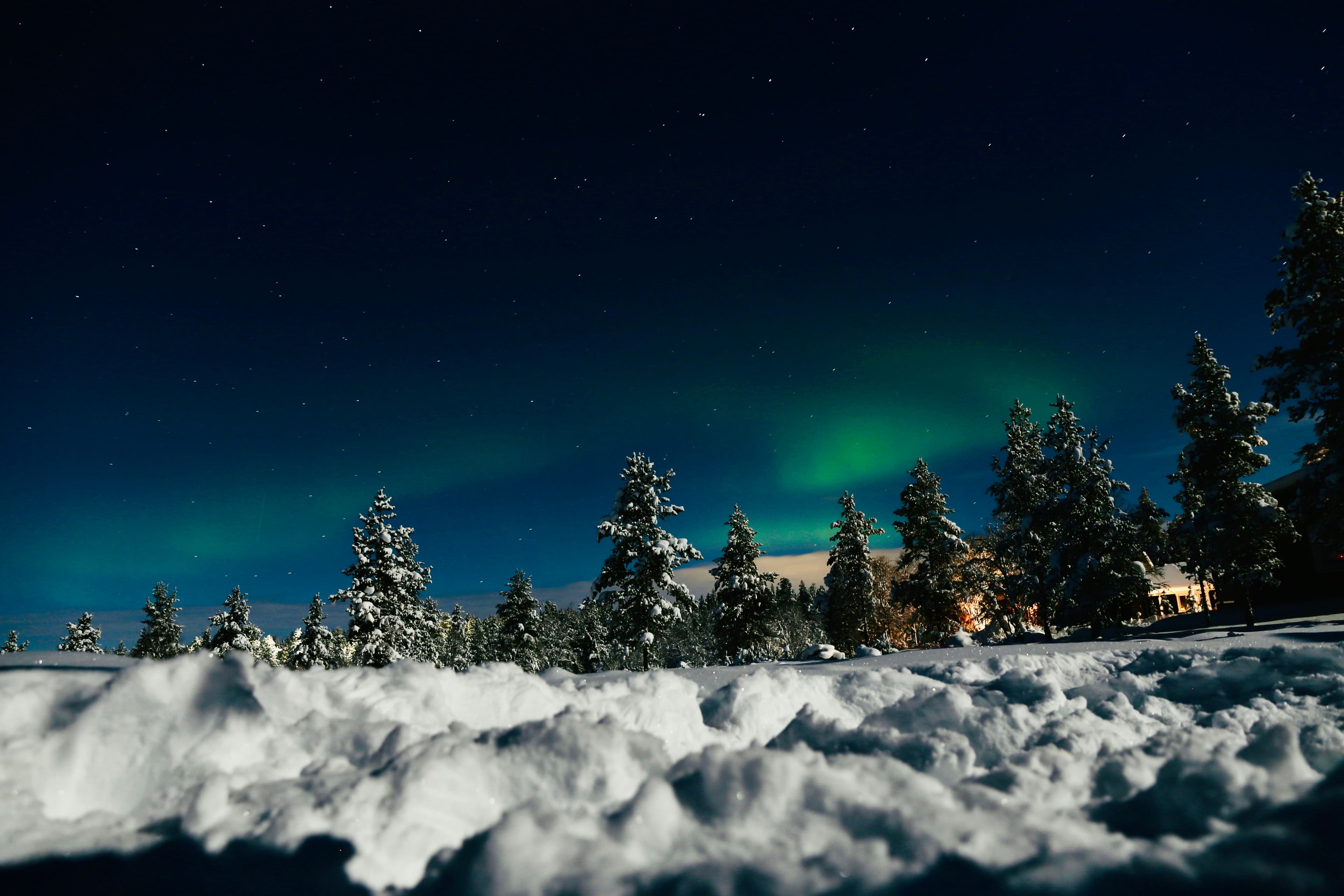 Northern Lights Expedition - Russia
