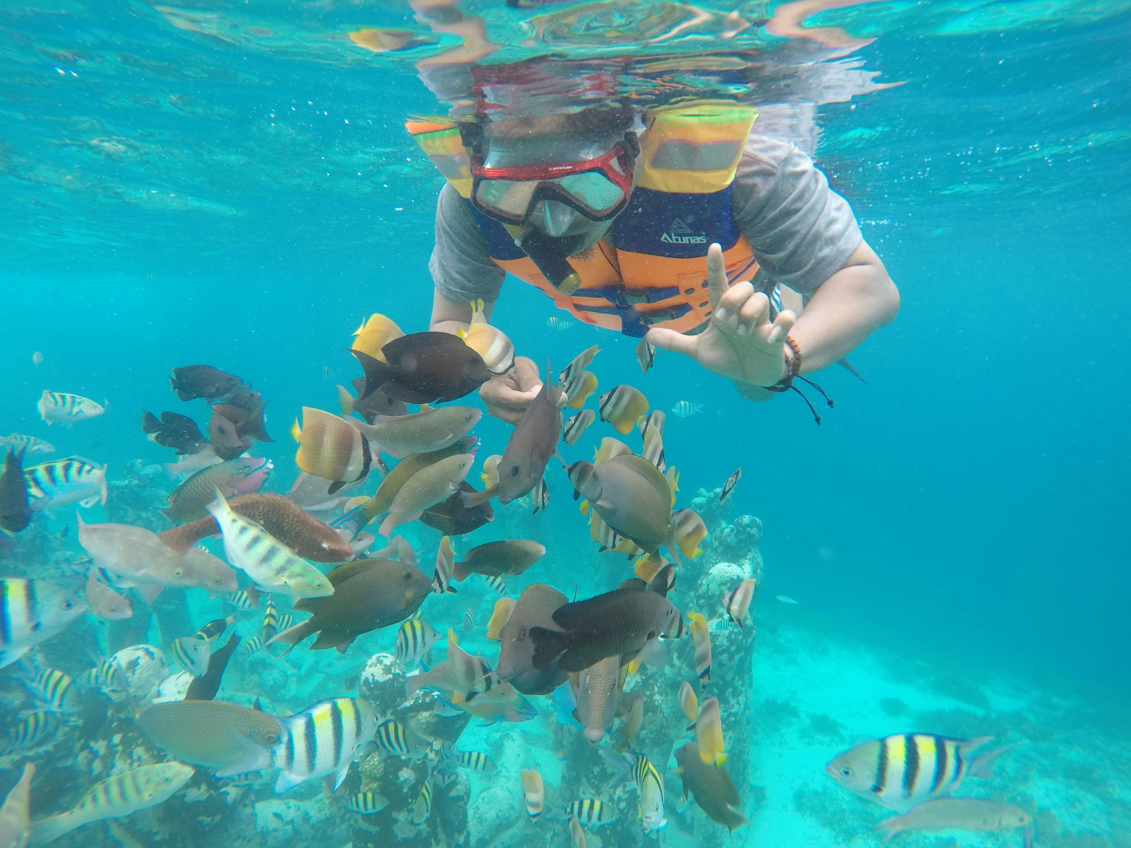 Snorkeling @Gallih Handoko