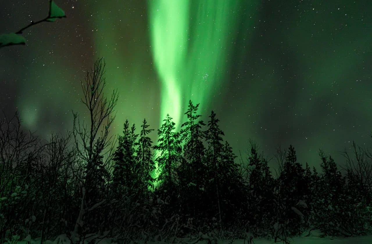 Witnessed the Northern Lights dance above Arctic skies.