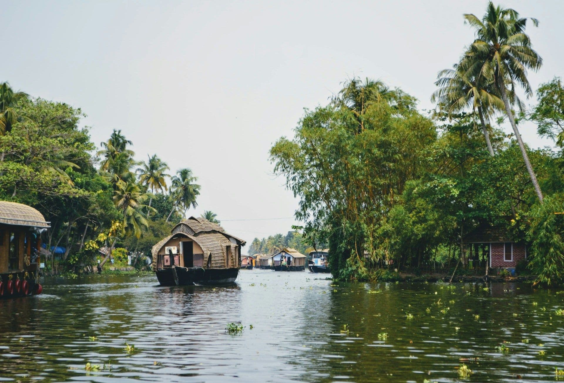 Kerala 3N/4D Trip with Munnar & Alleppey Backwaters (3 Nights / 4 Days)