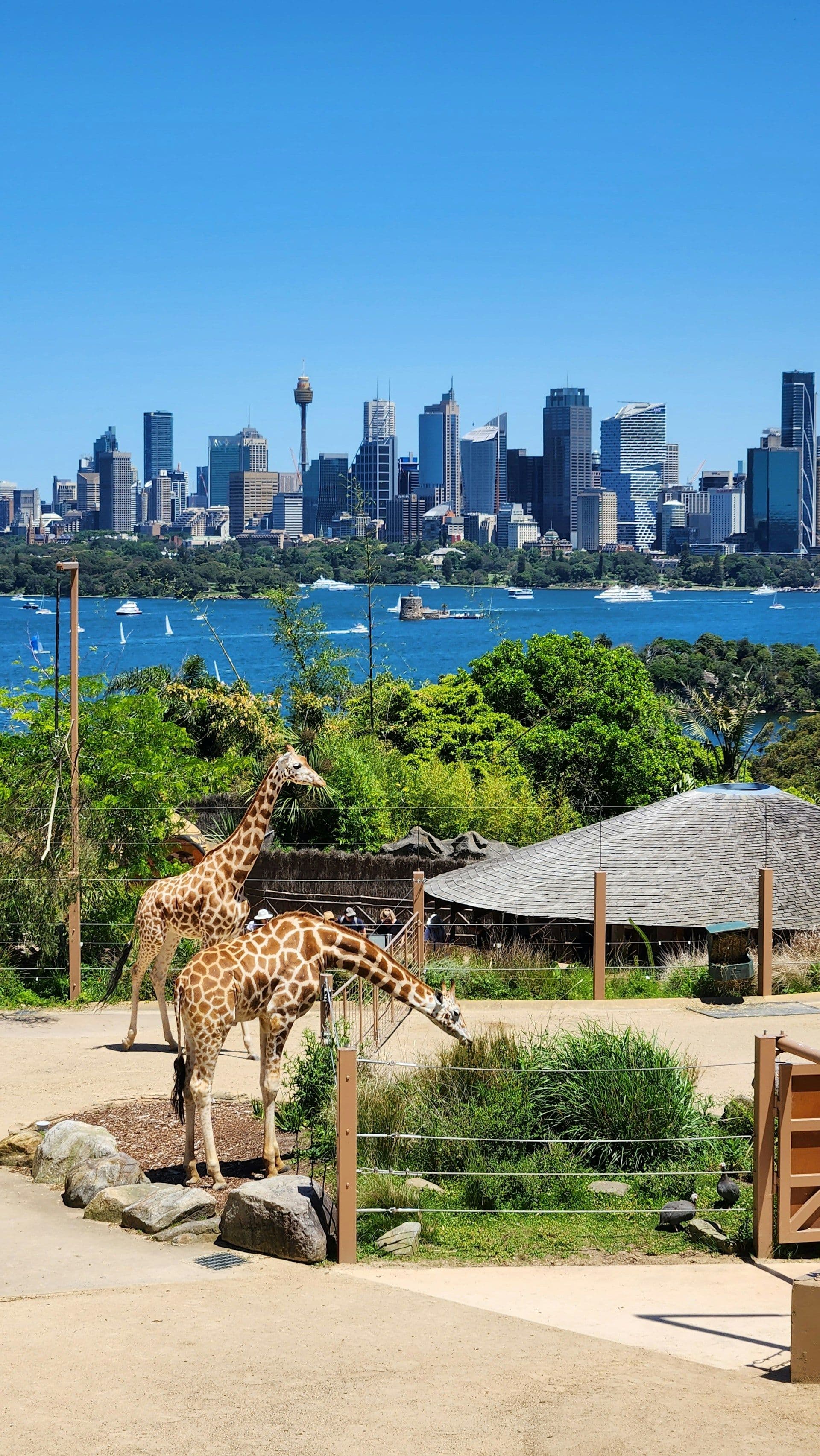 8 Days Australia Family Trip: Theme Parks, Wildlife & Sydney