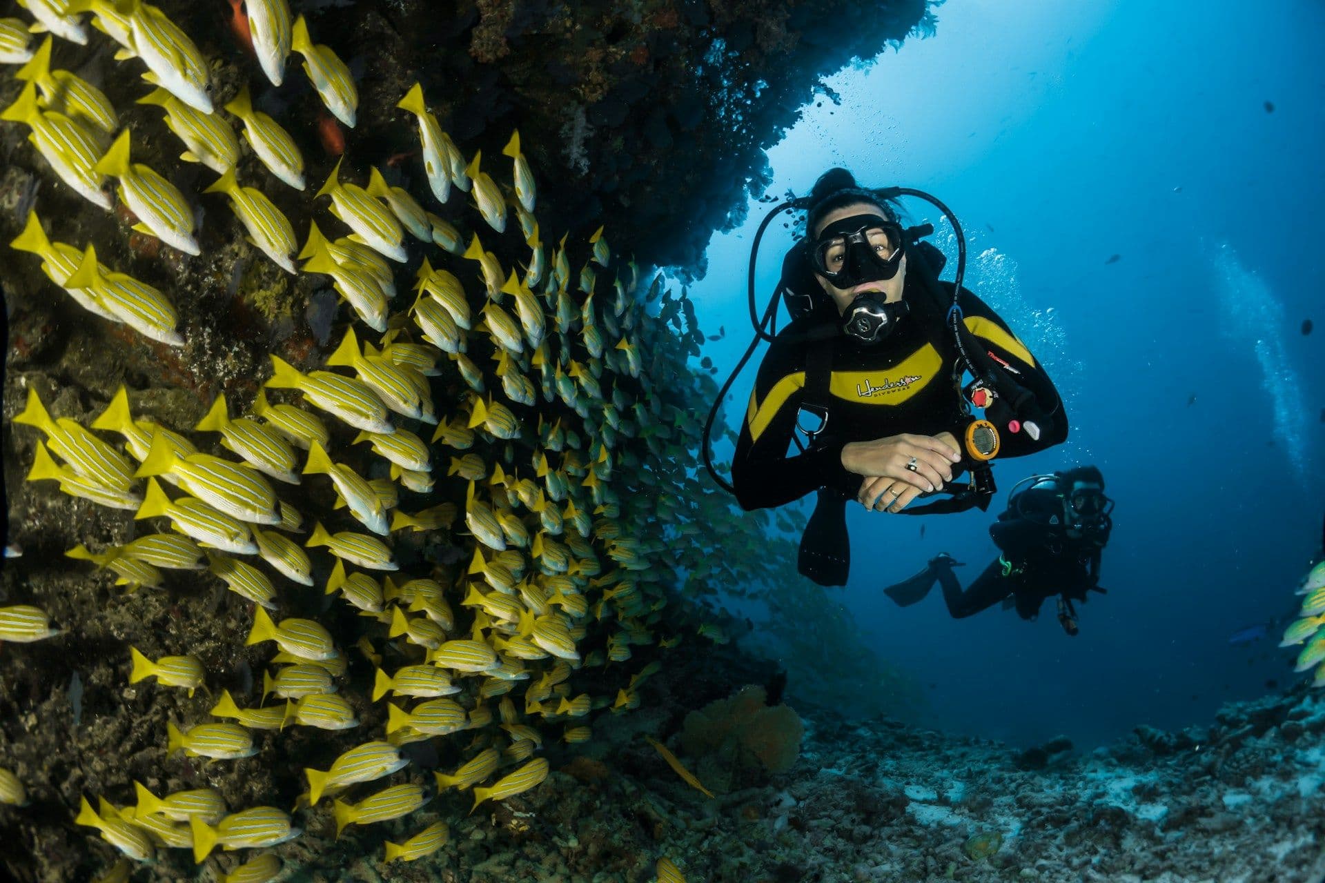 Andaman Scuba Diving & Snorkeling Guide