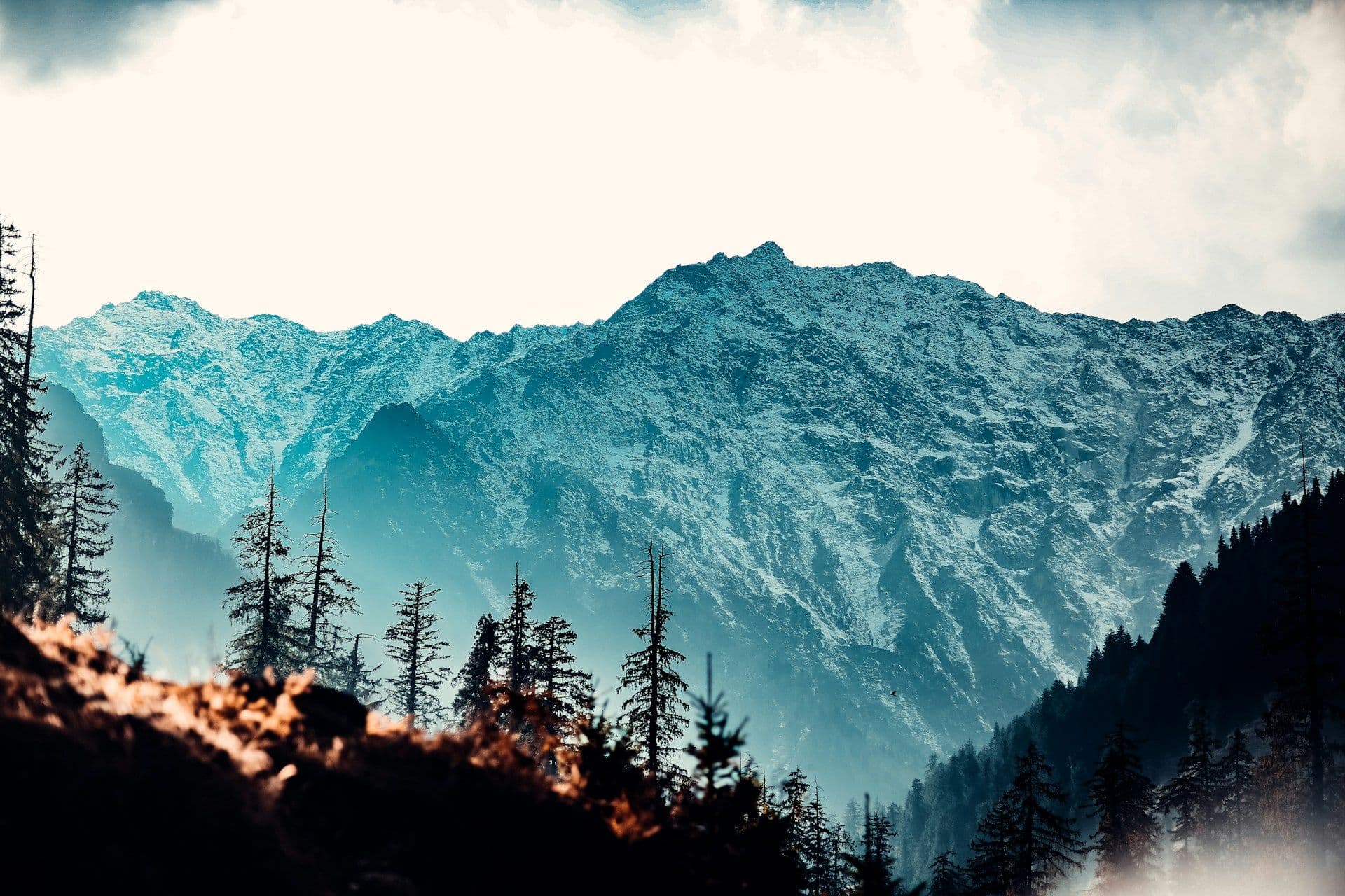 Best Honeymoon Places Near Delhi for Every Budget