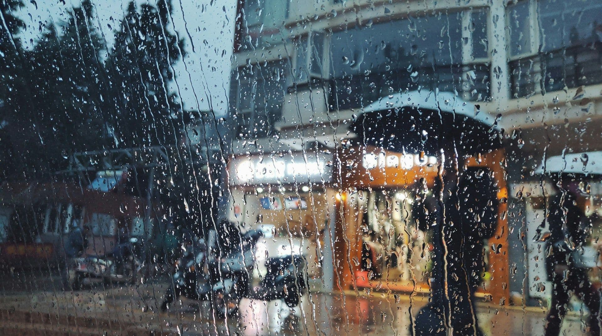 Best Places to Visit in India During Monsoon for Every Type of Traveller