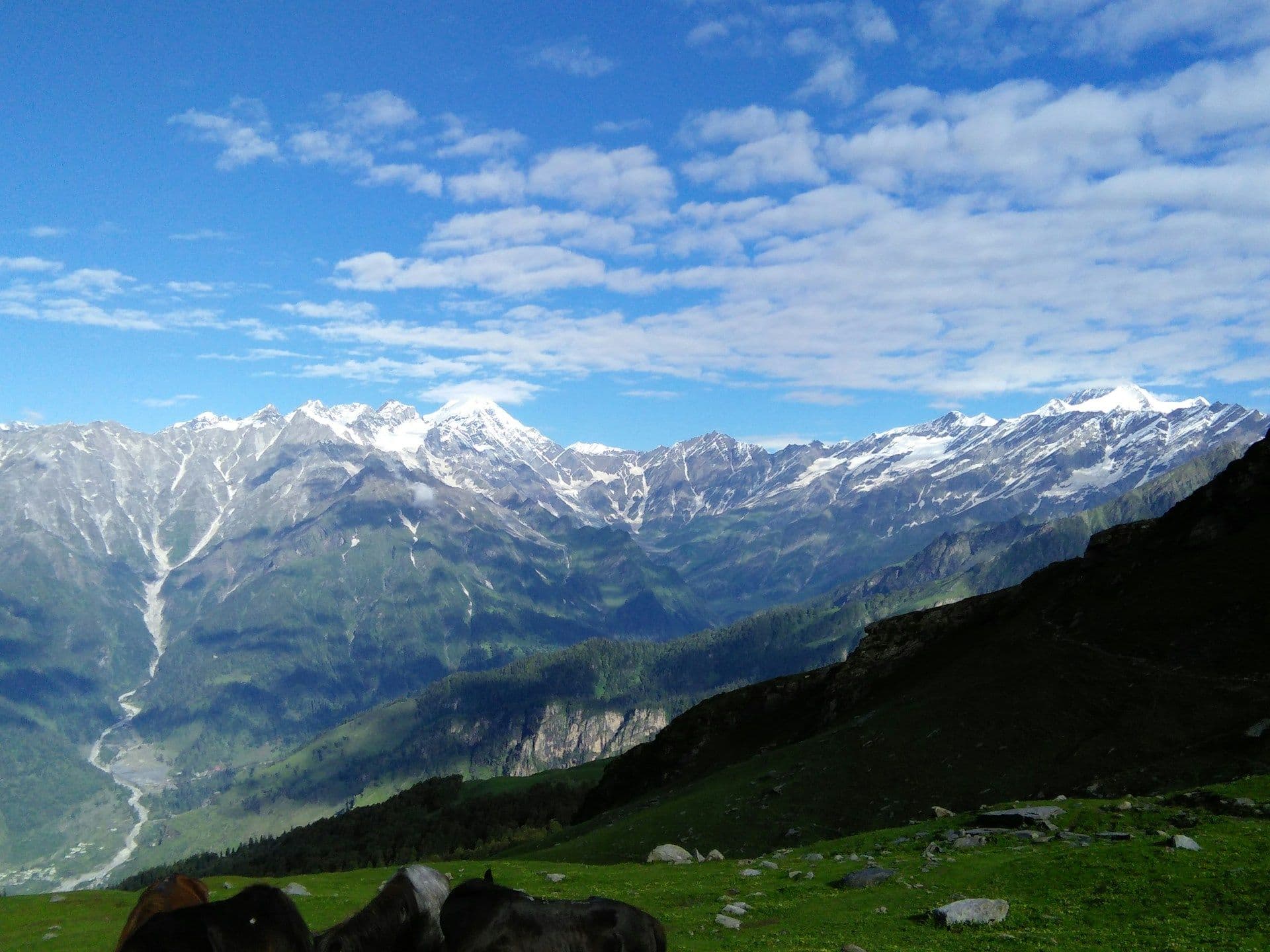 Bhrigu Lake Trek Guide: Best Time, Itinerary, Cost & Travel Tips