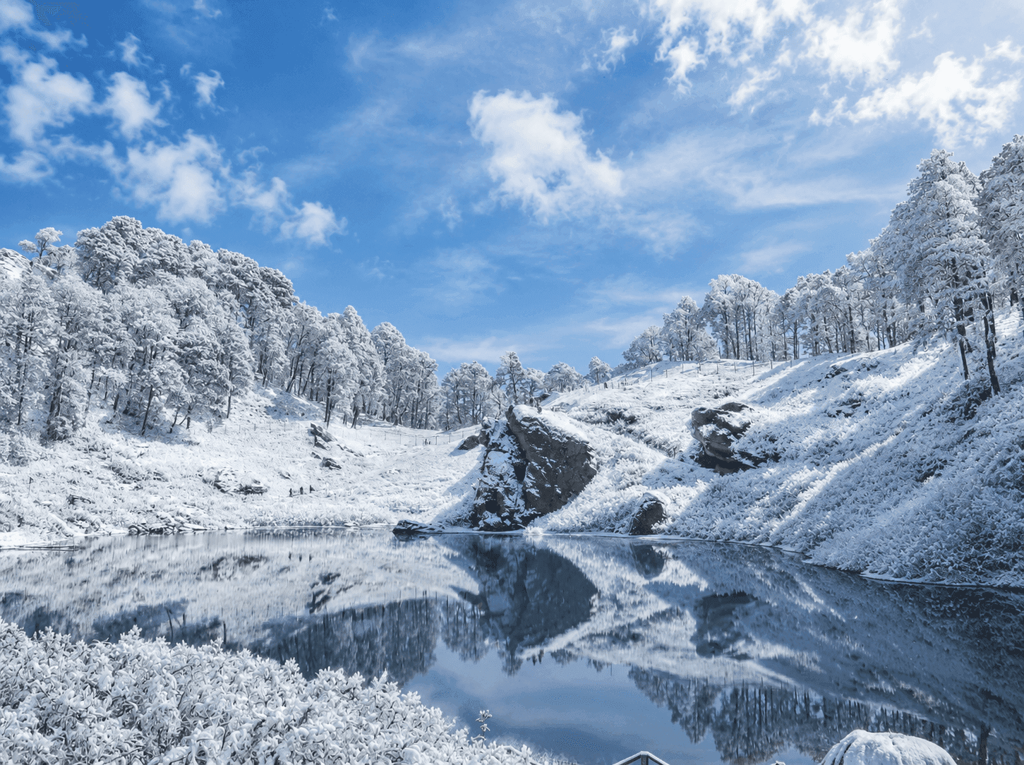 Himachal Christmas & New Year Backpacking trip