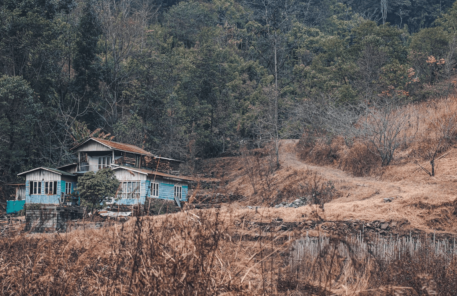 Nagaland Hornbill Festival Tour 2