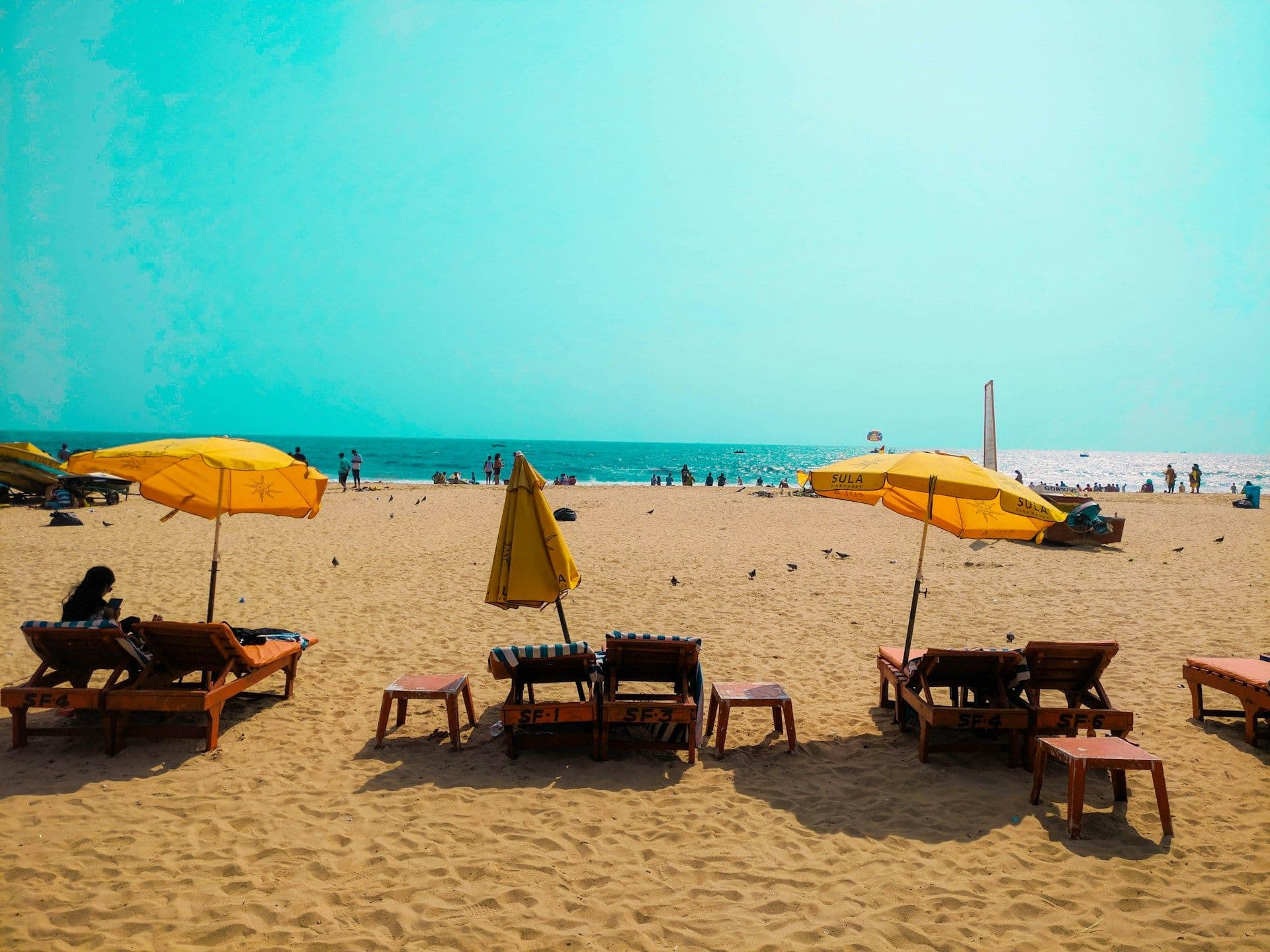 Goa Travel Guide: Everything You Need to Plan Your Trip