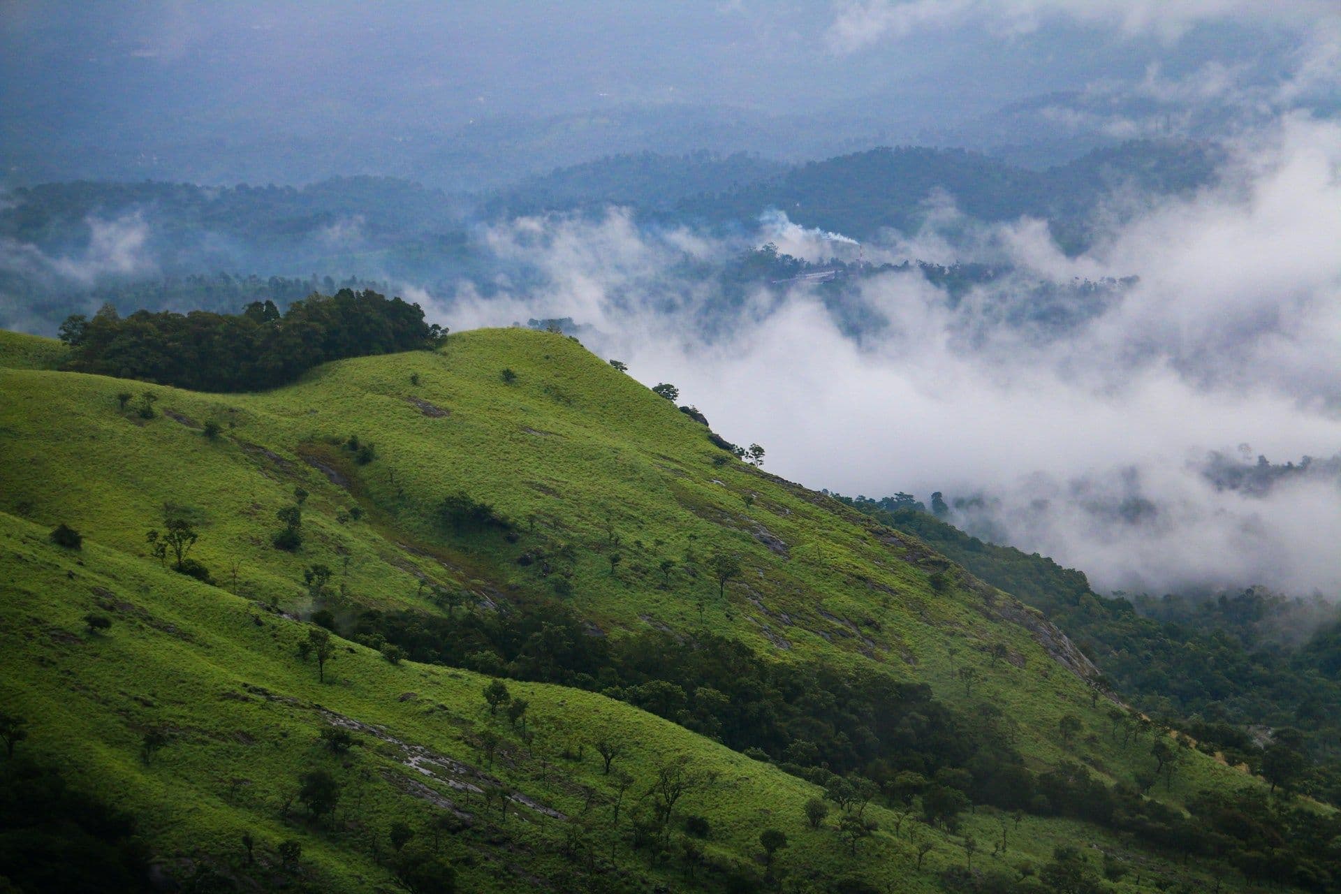 Kerala Family Trip Guide: Best Places, Itineraries and Costs