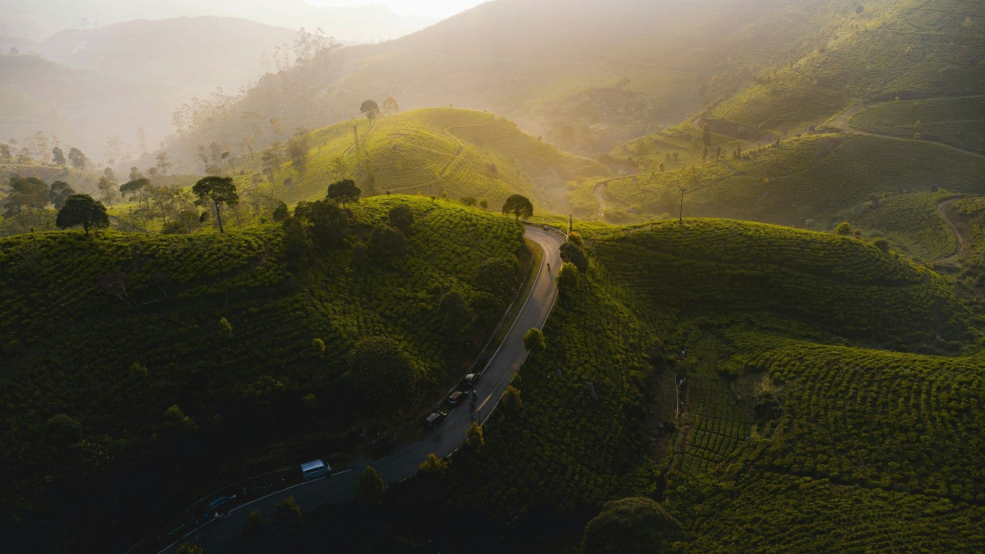 Kerala Itinerary: Perfect 3, 5, 7 & 10-Day Kerala Trips
