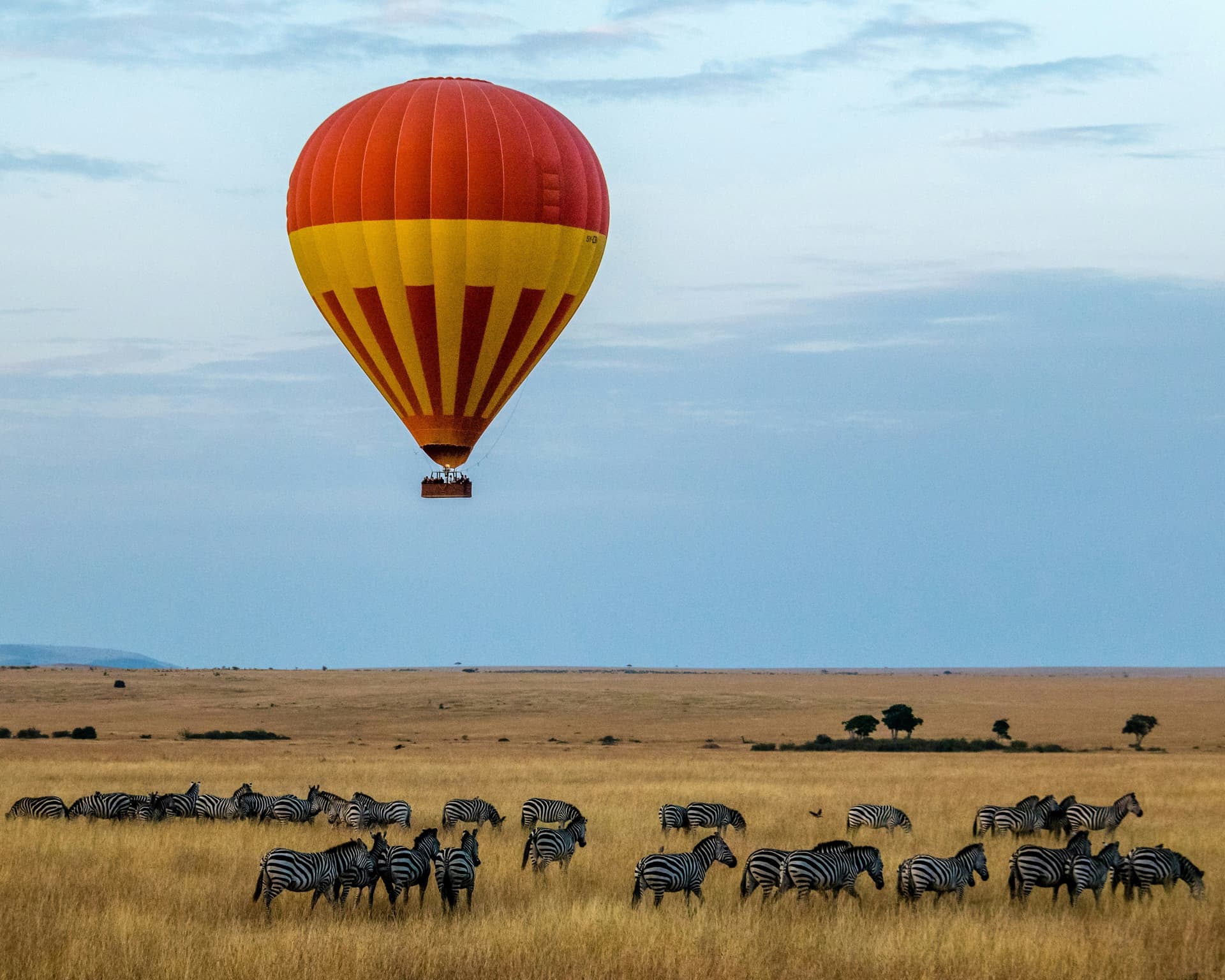 Masai Mara Safari Cost from India: Full Breakdown, Budget & What You’re Really Paying For