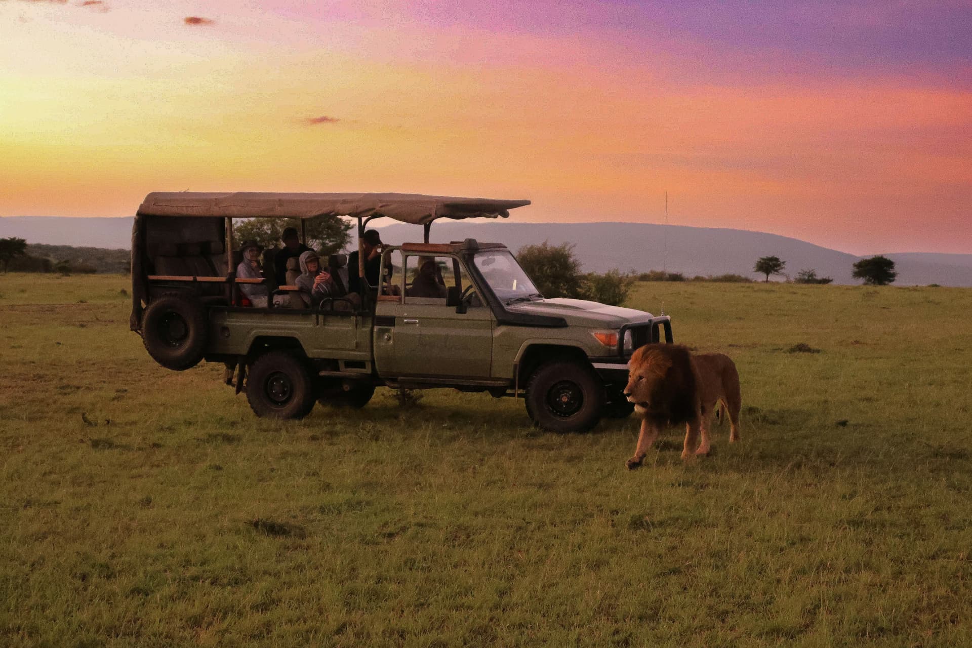 Masai Mara Safari Guide: What to Expect, Cost, Best Time & How to Plan