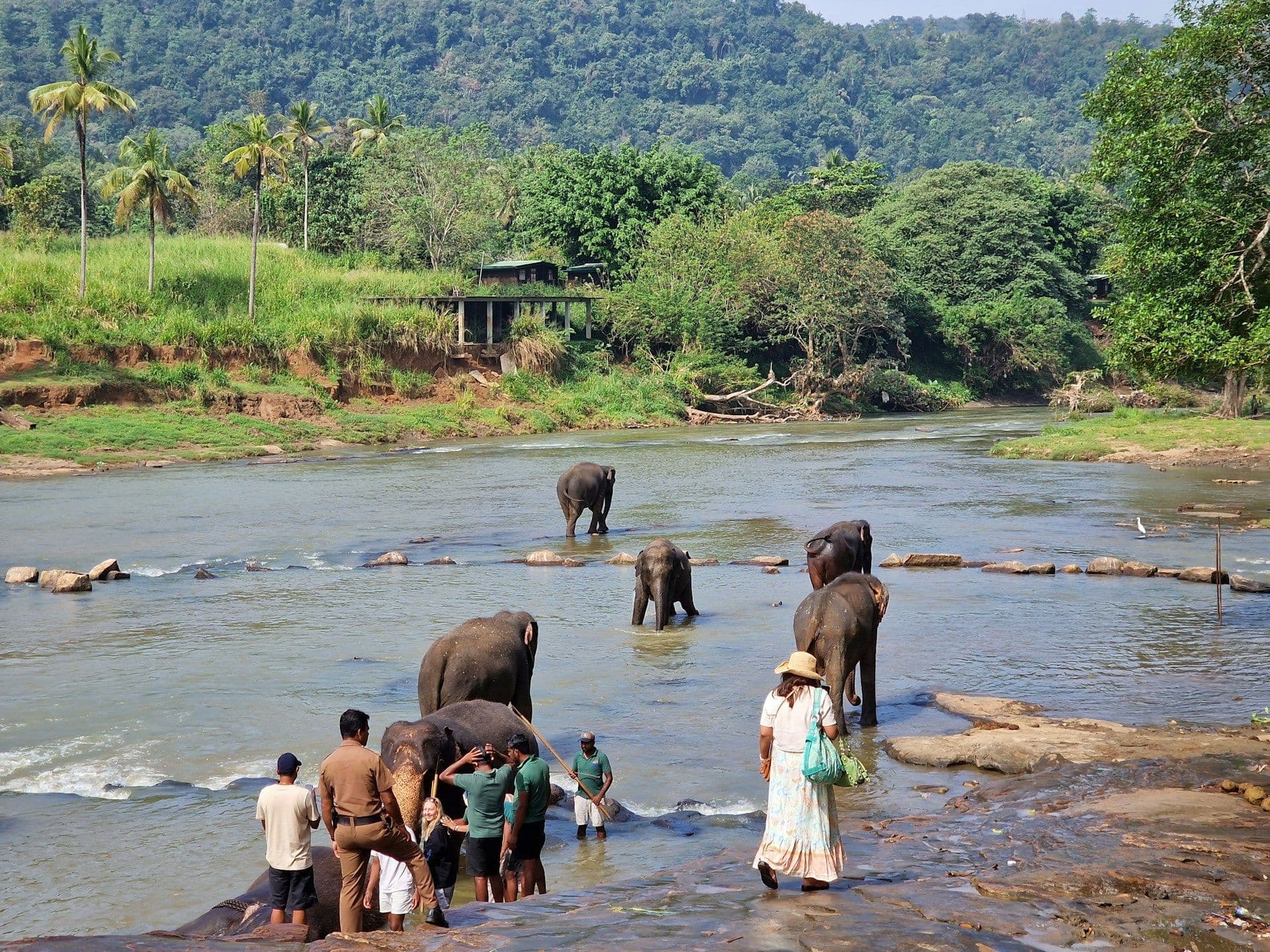 Best of Sri Lanka: Mirissa, Ella, Kandy & Sigiriya 1