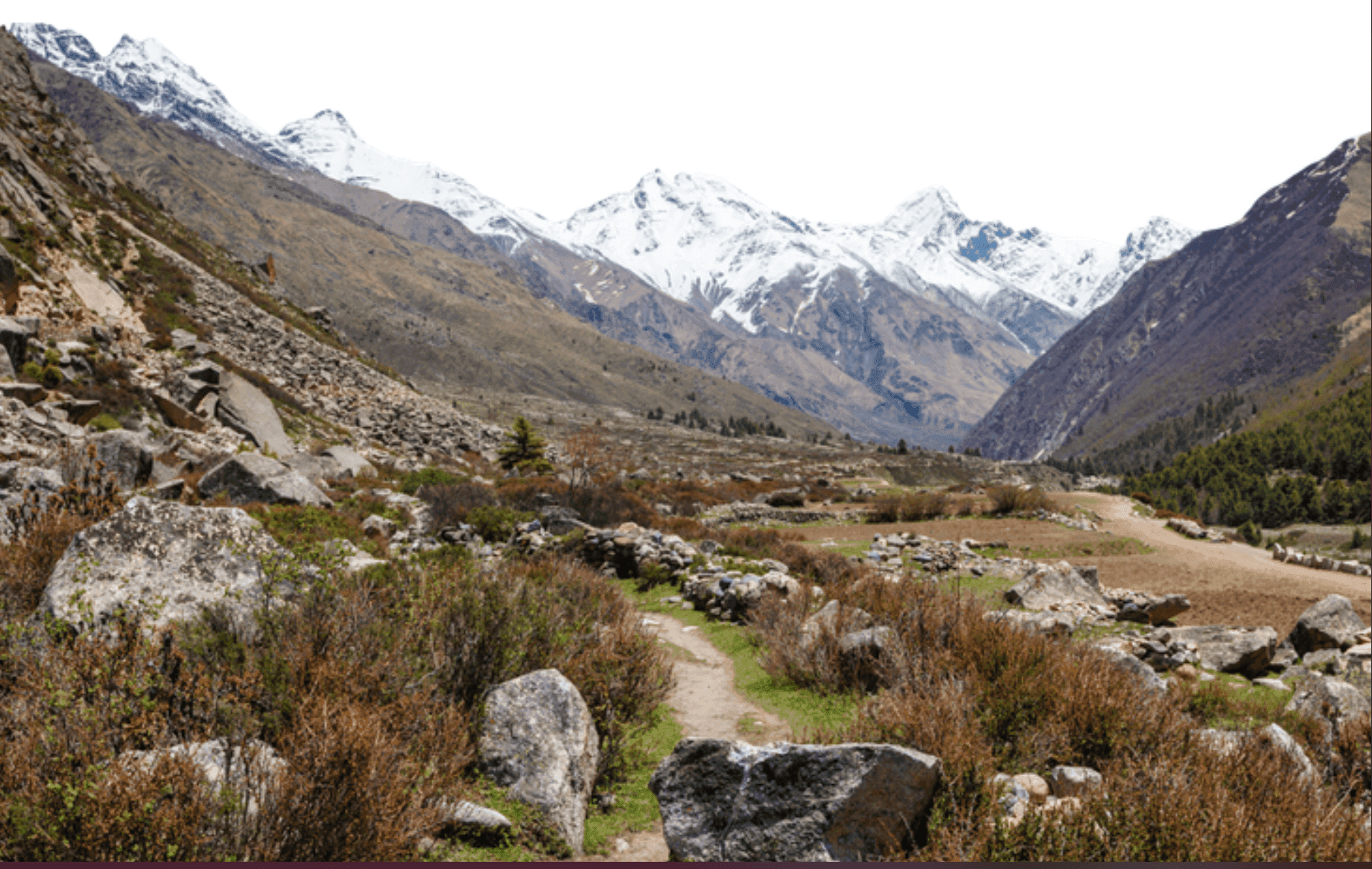 hbafgqltmazgdyc8q2uofz1y