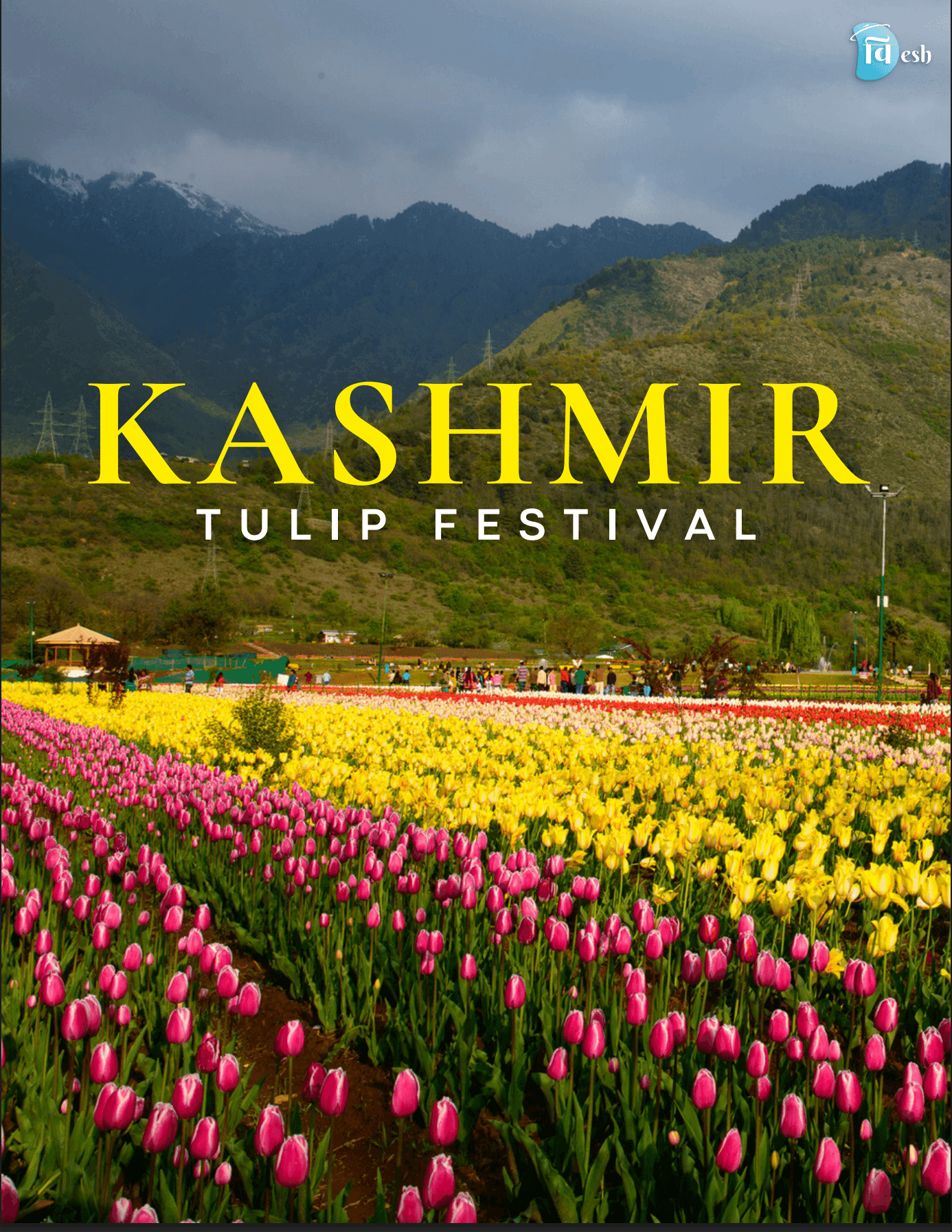 Kashmir Tulip Festival – A Springtime Paradise 2026