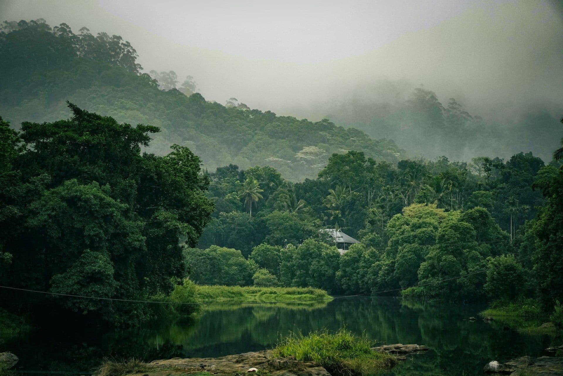 Thekkady Travel Guide: Best Places to Visit & Things to Do