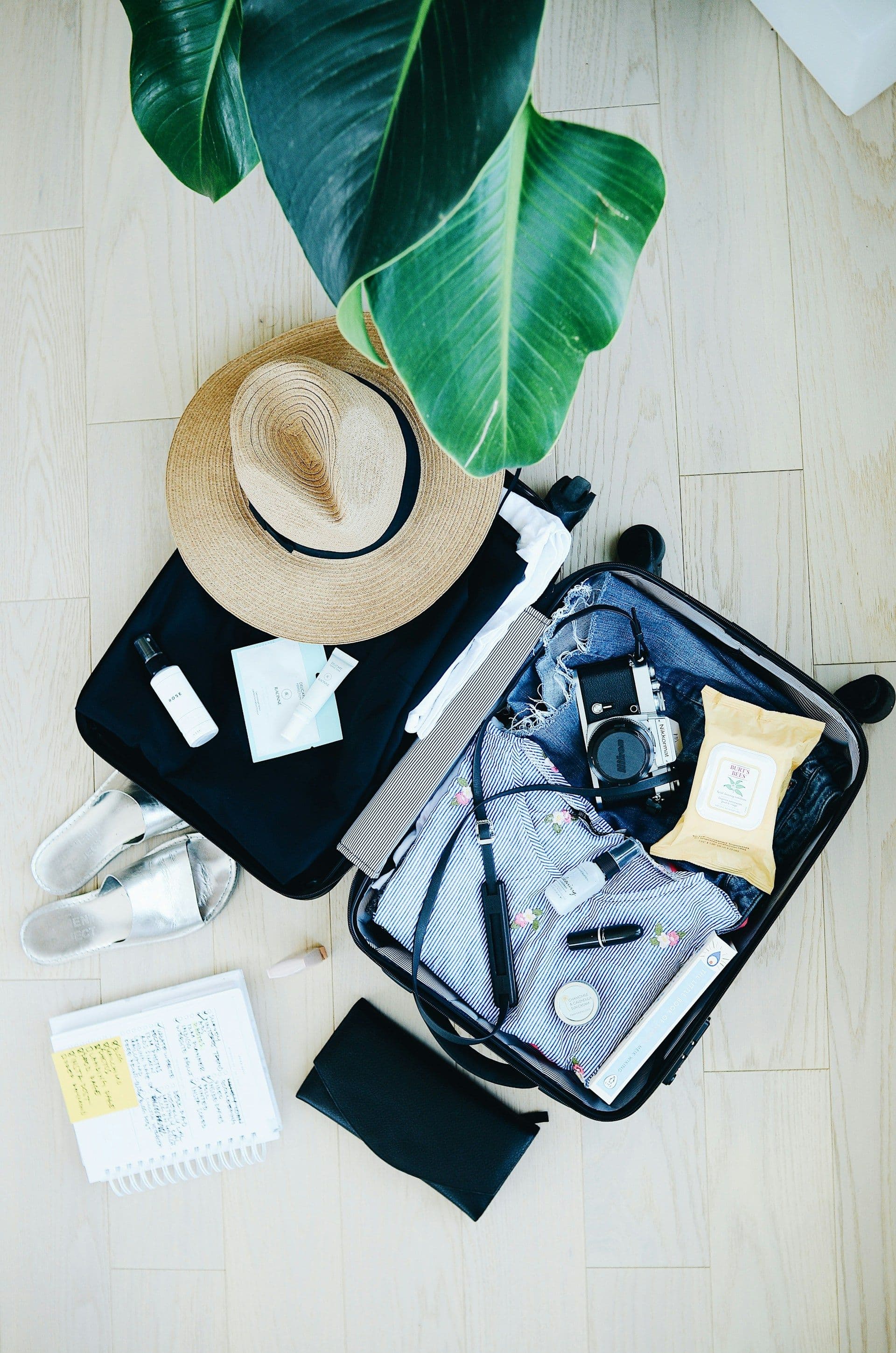 Travel Essentials Every International Traveller Should Carry