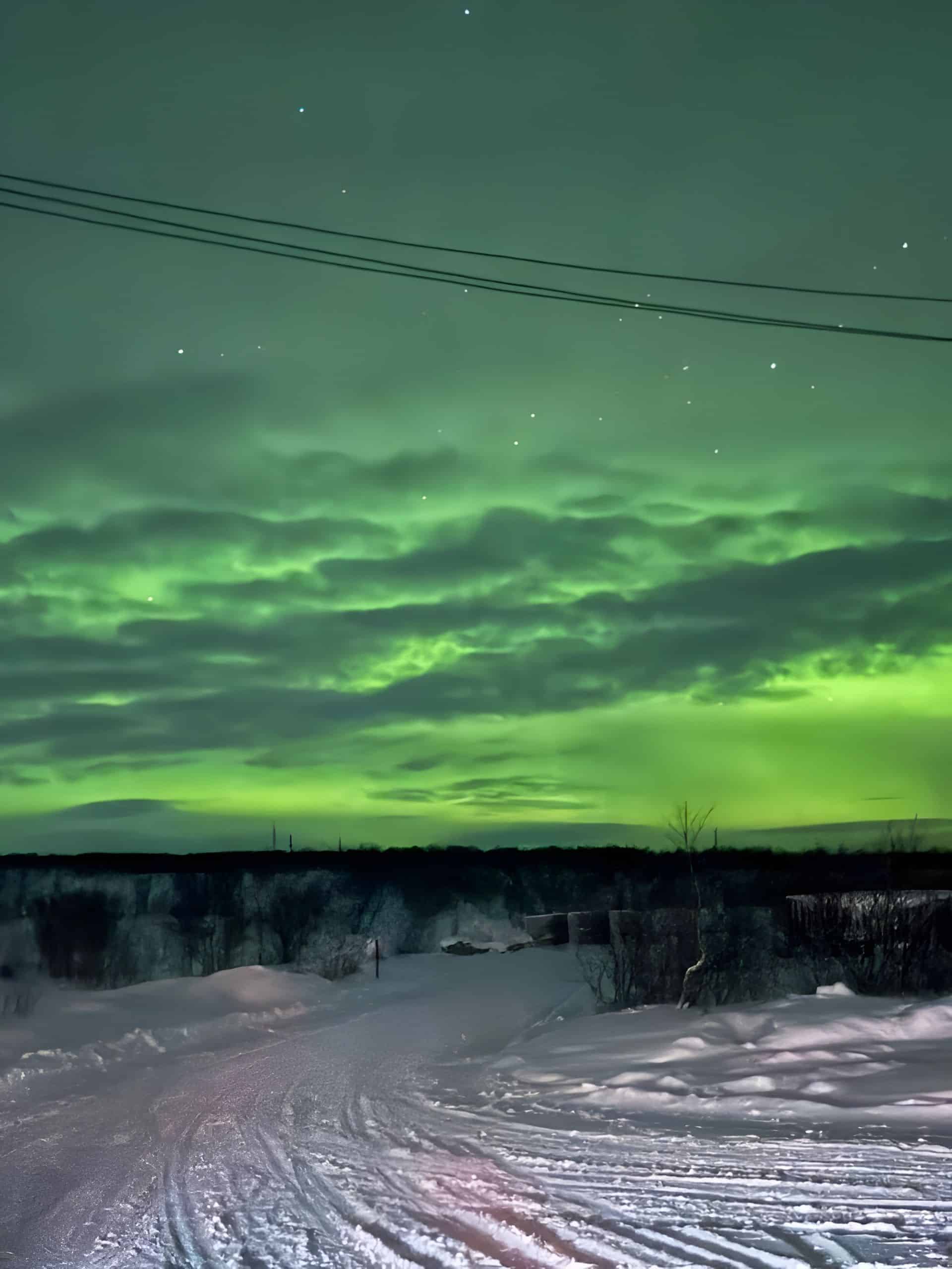 l4fe2zy38cwg00cmiy9vl7vv