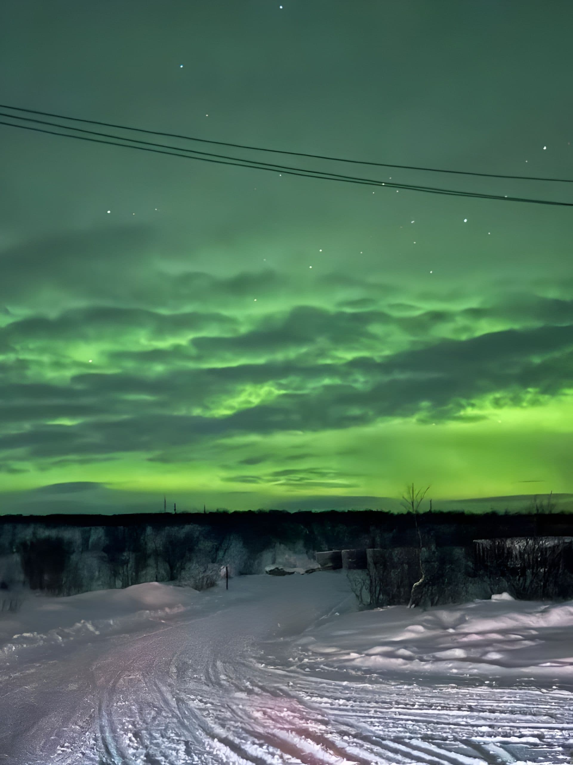 l4fe2zy38cwg00cmiy9vl7vv