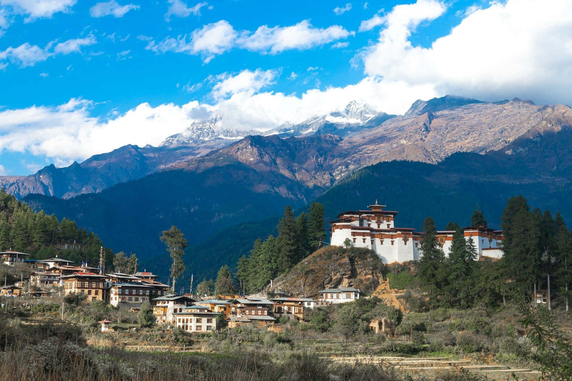 When Should You Visit Bhutan? A Month-by-Month Guide That Actually Helps You Decide