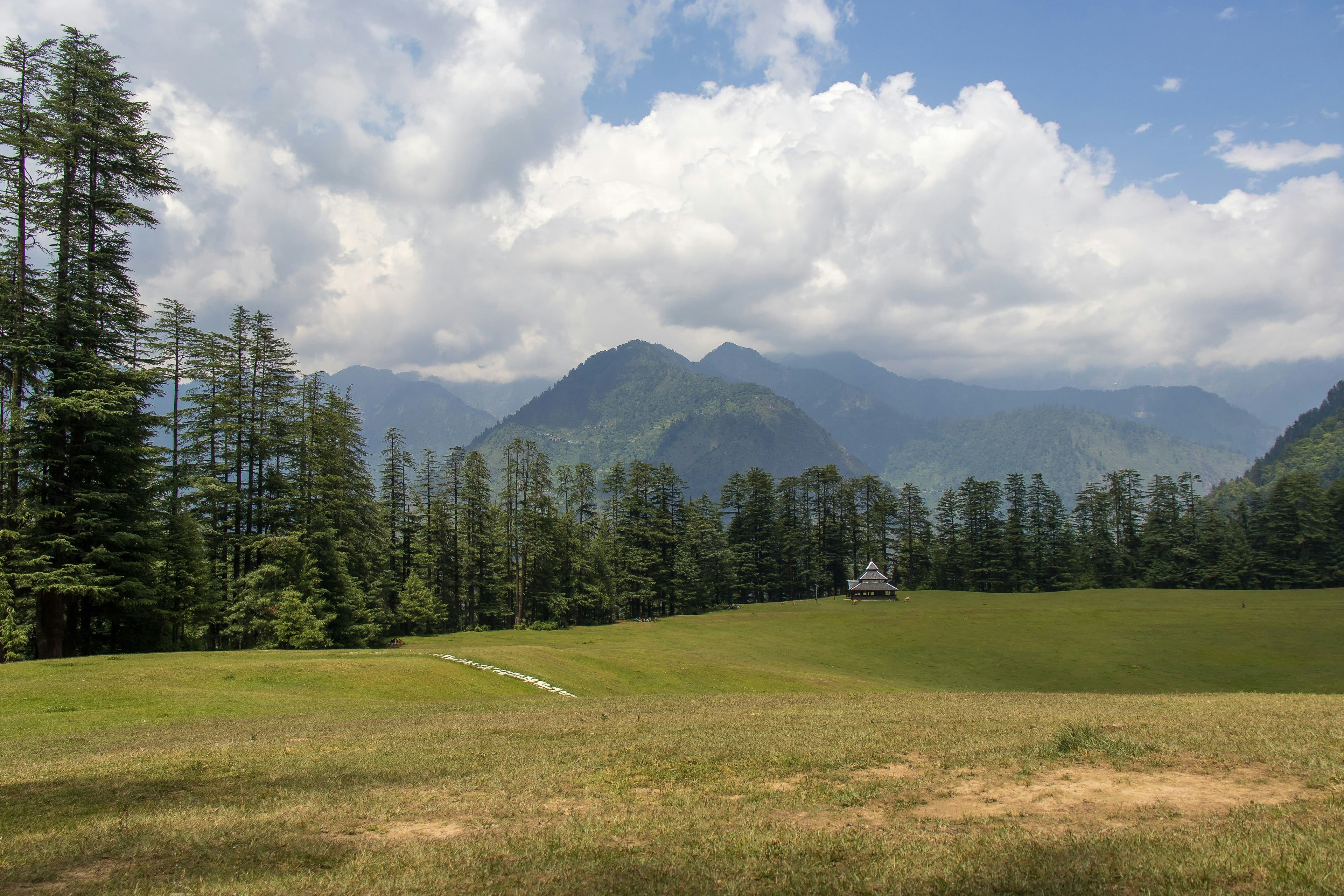 hdlrmh7apnzlj939jke0pzzk