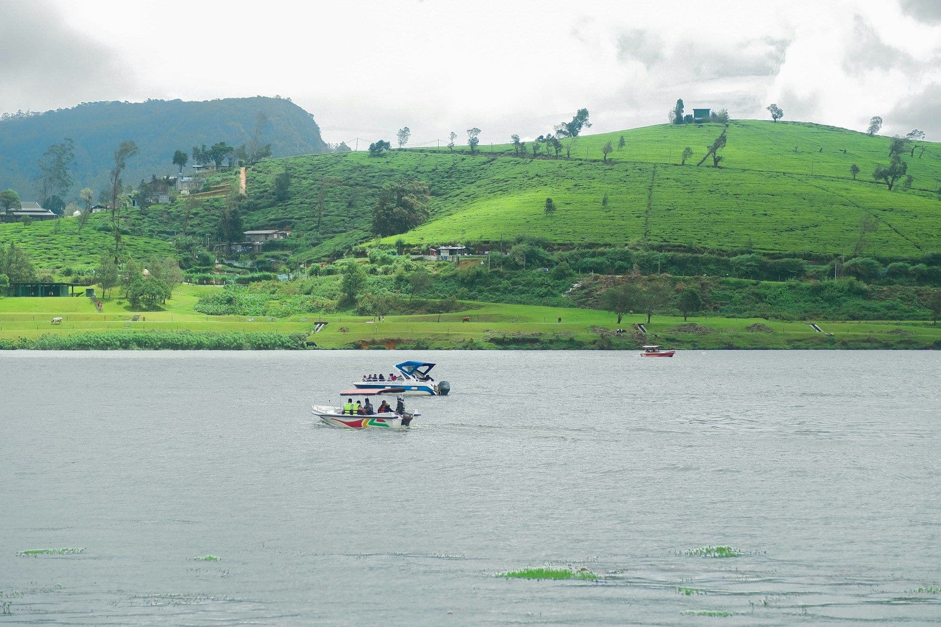 Sri Lanka Special Batch: 6 Nights 7 Days Group Trip 2
