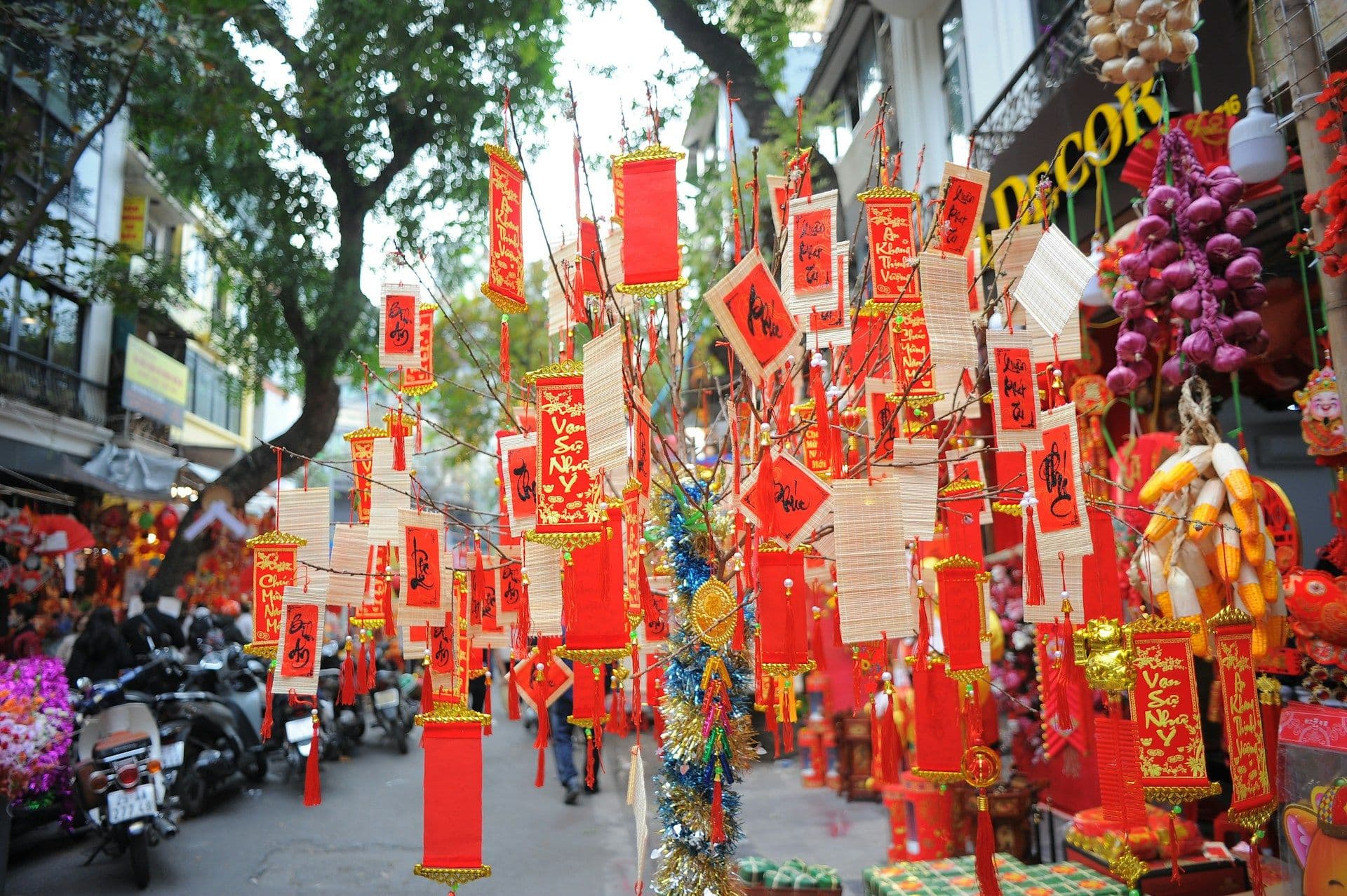 Vietnam Xmas & New Year Special trip