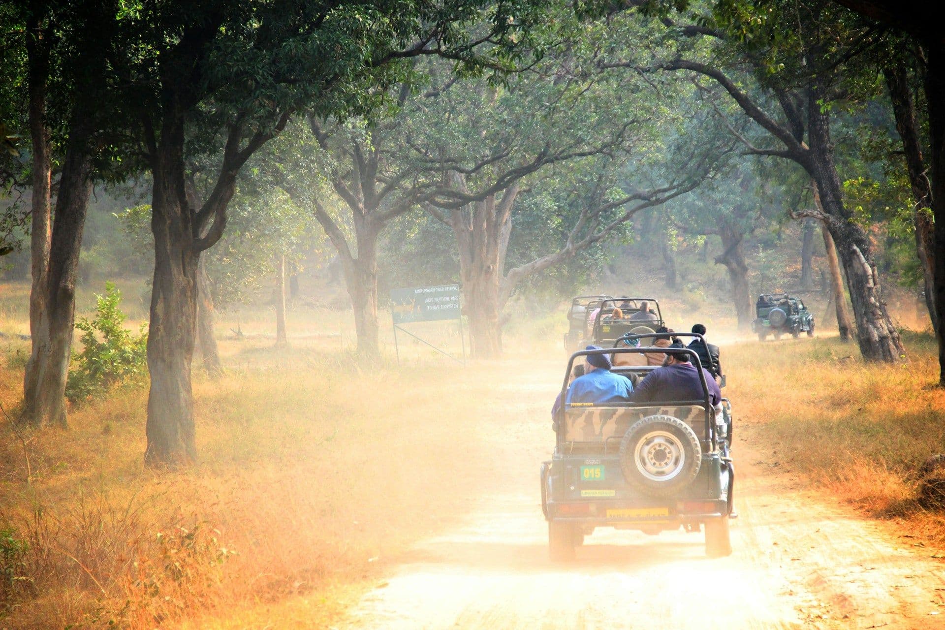 Jabalpur, Kanha & Bandhavgarh Wildlife Tour Package
