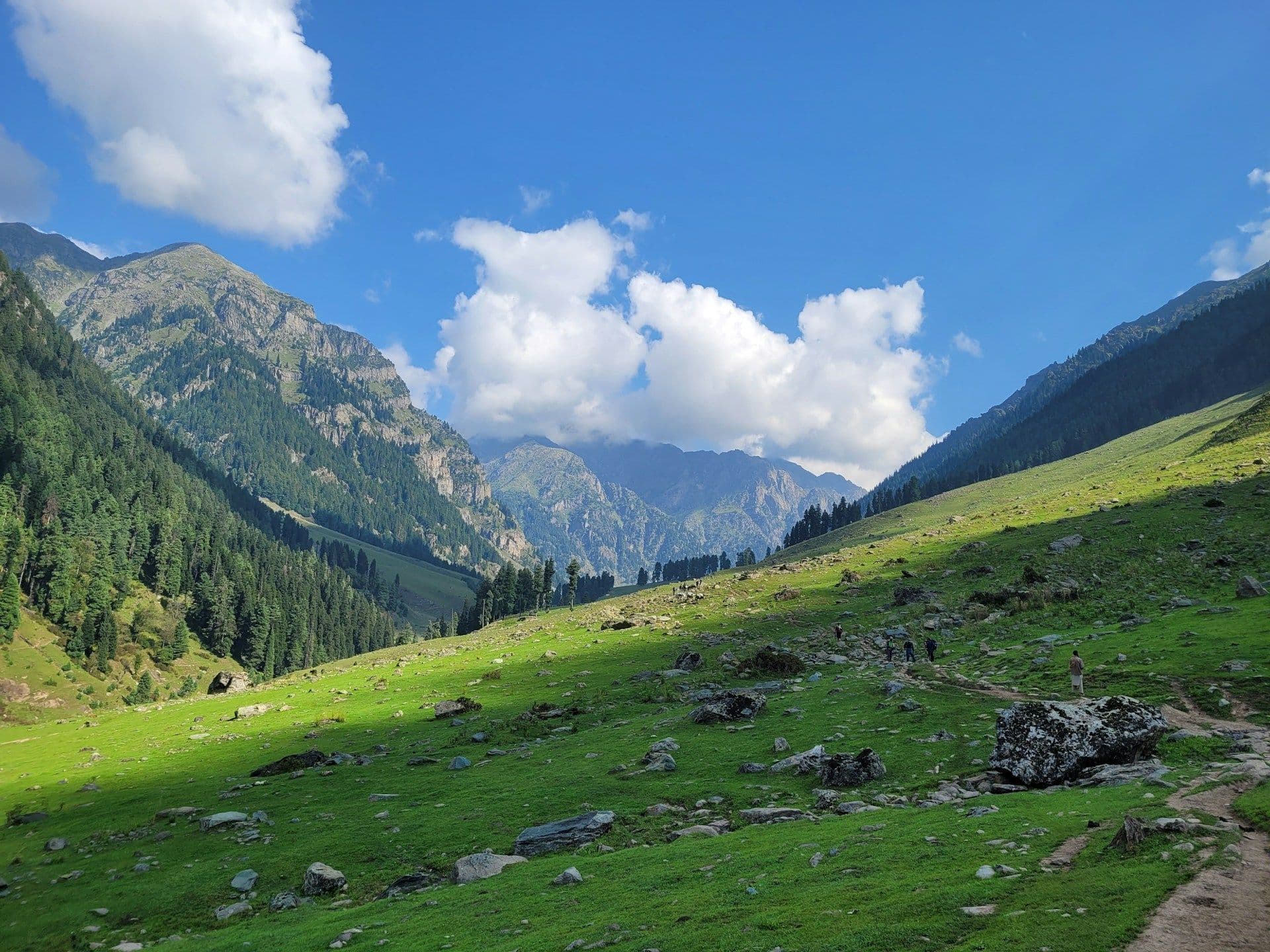 Jibhi and Shangarh Group Trip with Jalori Pass