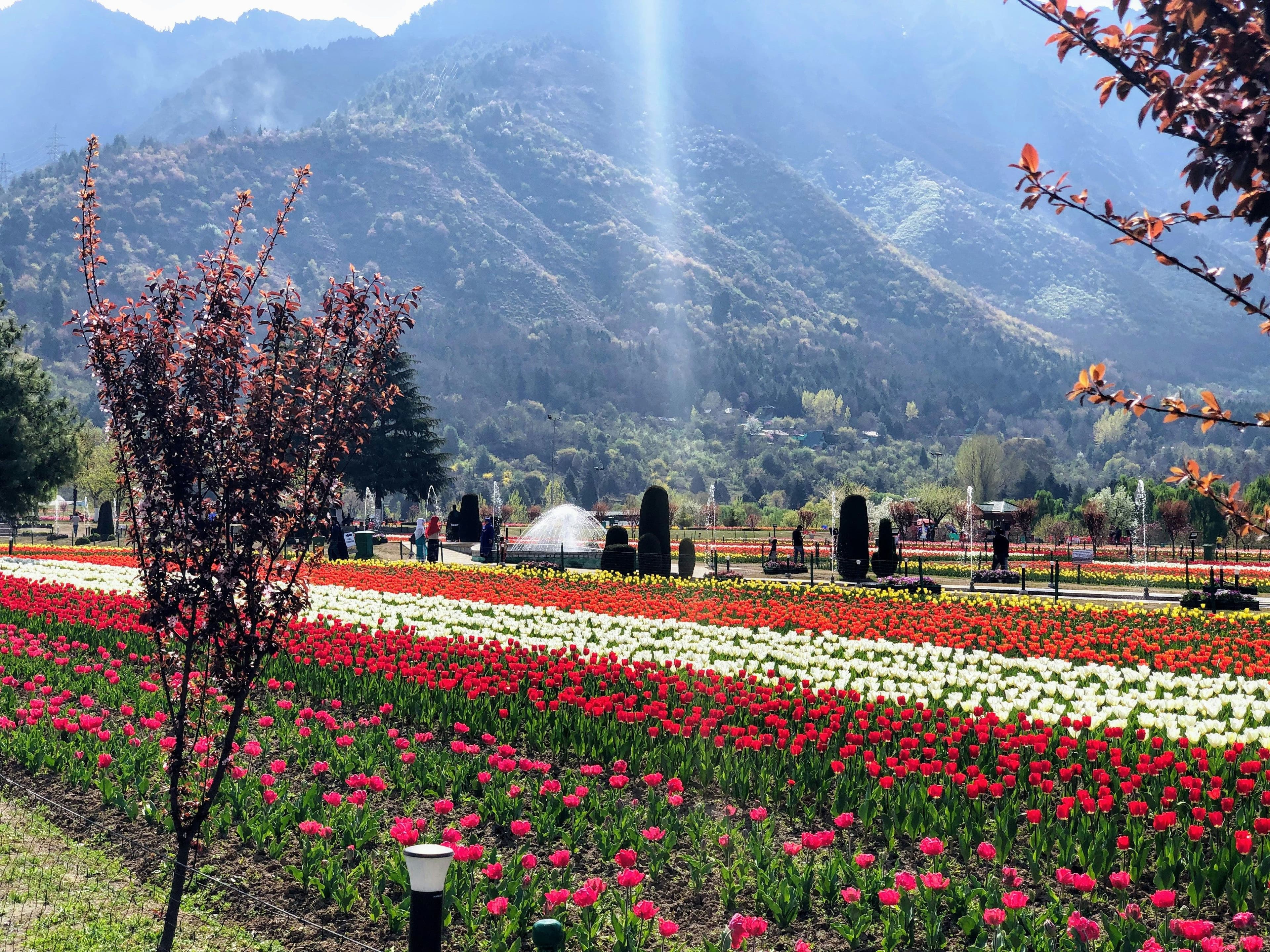 6-Day Kashmir Family Adventure – Houseboats, Valleys & Snow Fun! 2