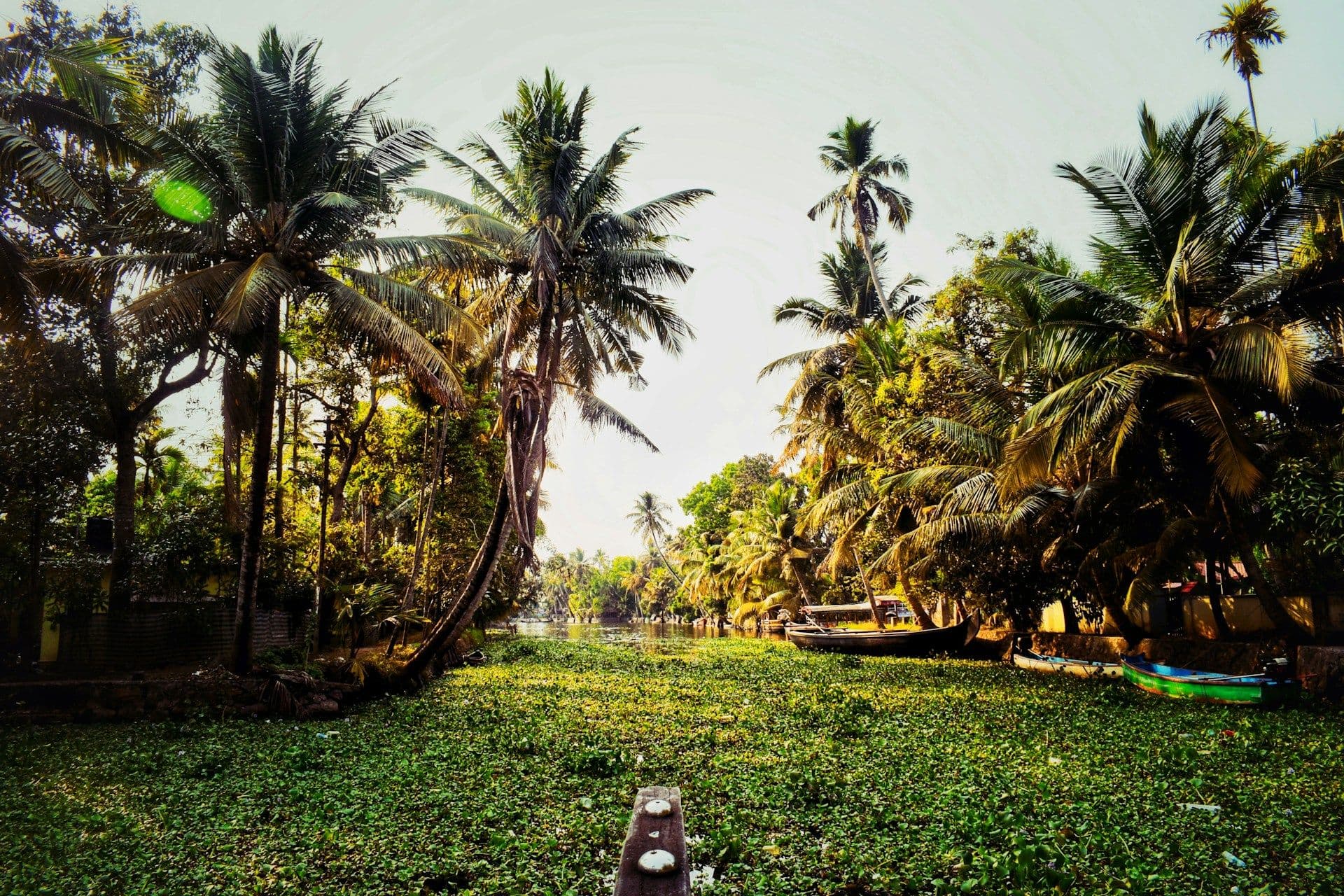 Kerala 3N/4D Trip with Munnar & Alleppey Backwaters (3 Nights / 4 Days) 1